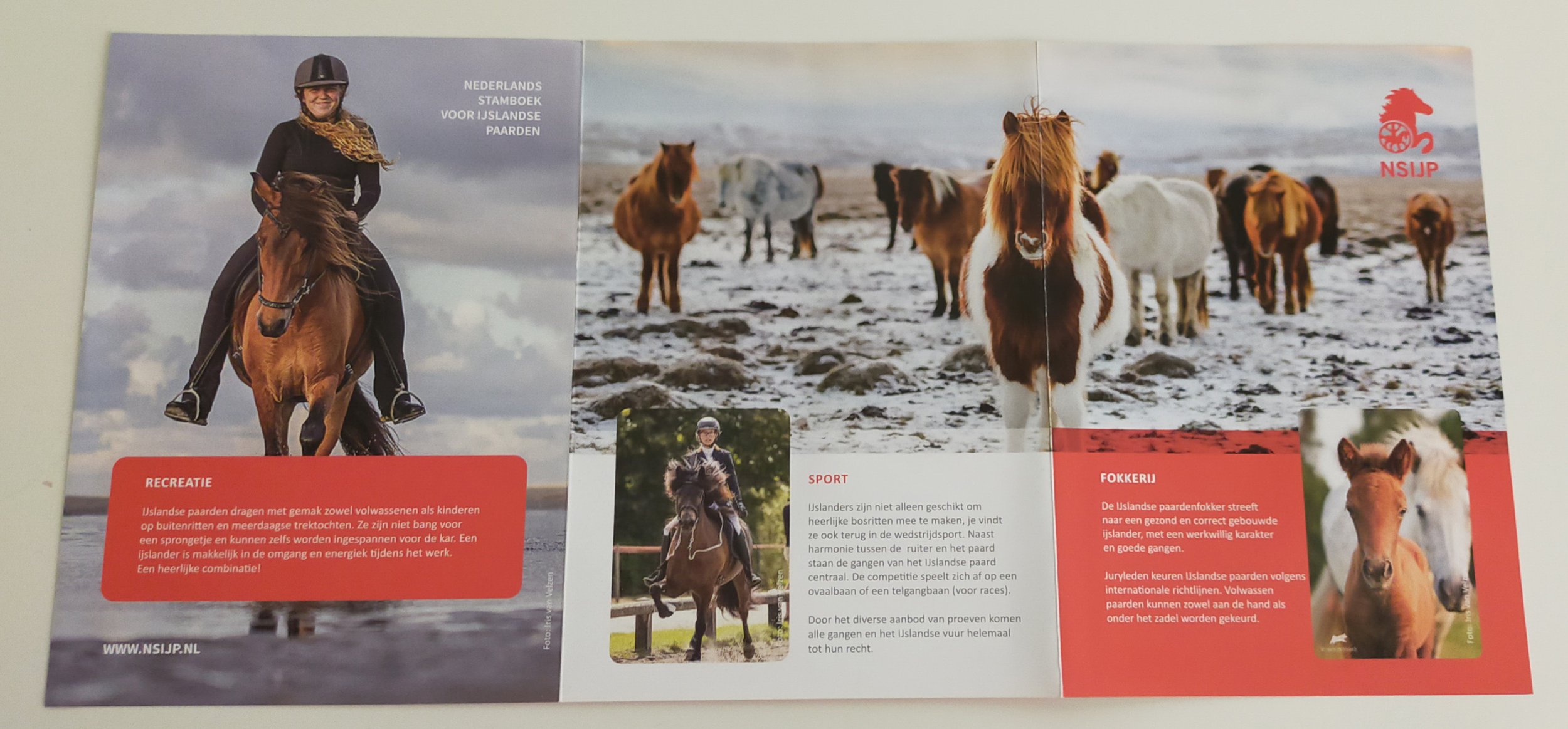 NSIJP Informatie folder - foto Berber strand, Esmee T2 wedstrijd Exloo - veulen Huldumey merrie Hyndla
