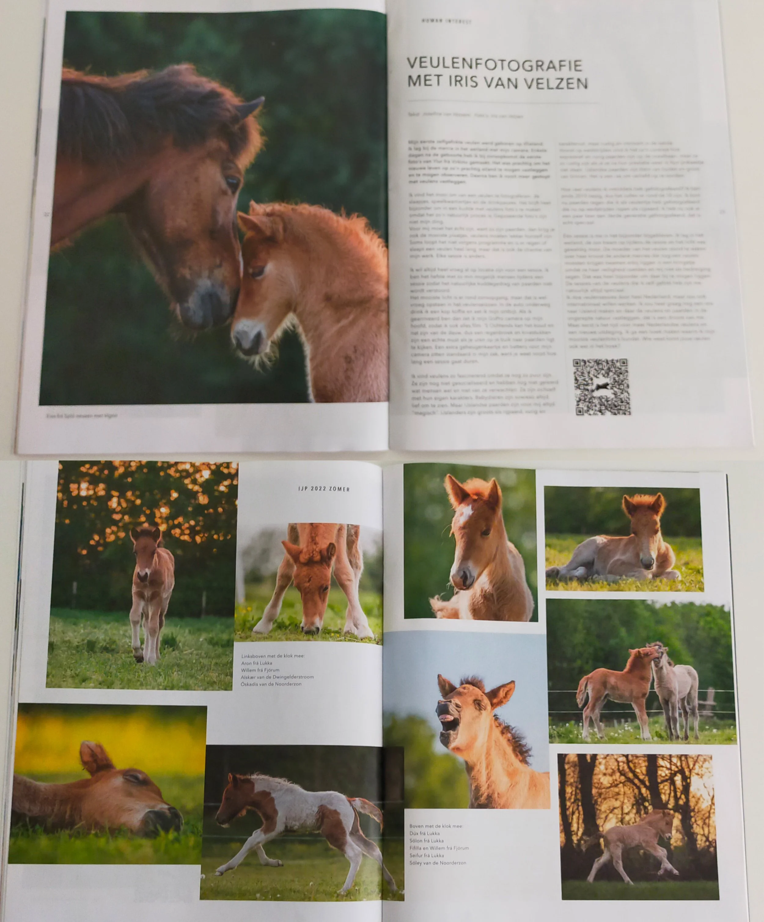 artikelIJPMagazinenr2-2022-veulenfotografiemetIrisvanVelzen-geschrevendoorJosefinevanVessem.jpg