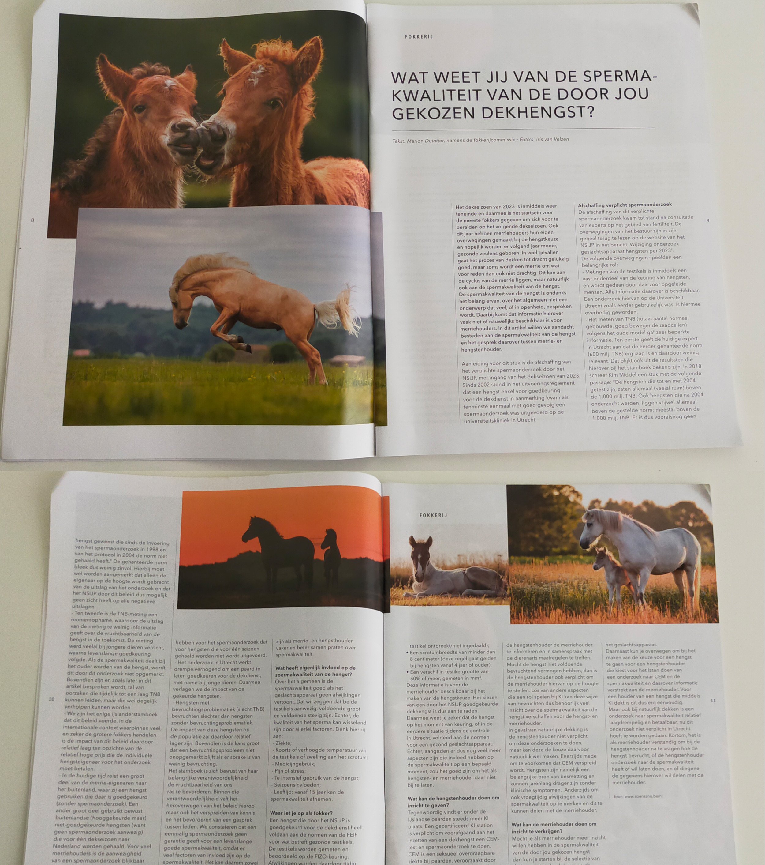 IJPMagazine-fotosbijartikel-IrisvanVelzenFotografie.jpg