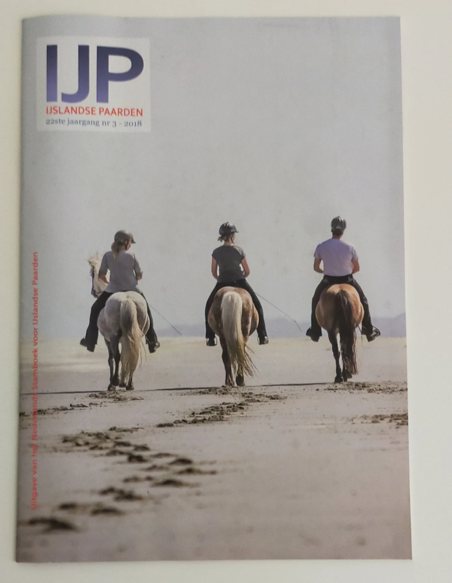 IJPMagazine-IJslandsePaardennr3-2018-DePrairieTerschelling-strandEskaRomurVikurMarleenRonaldMaaike-IrisvanVelzenFotografie.jpg