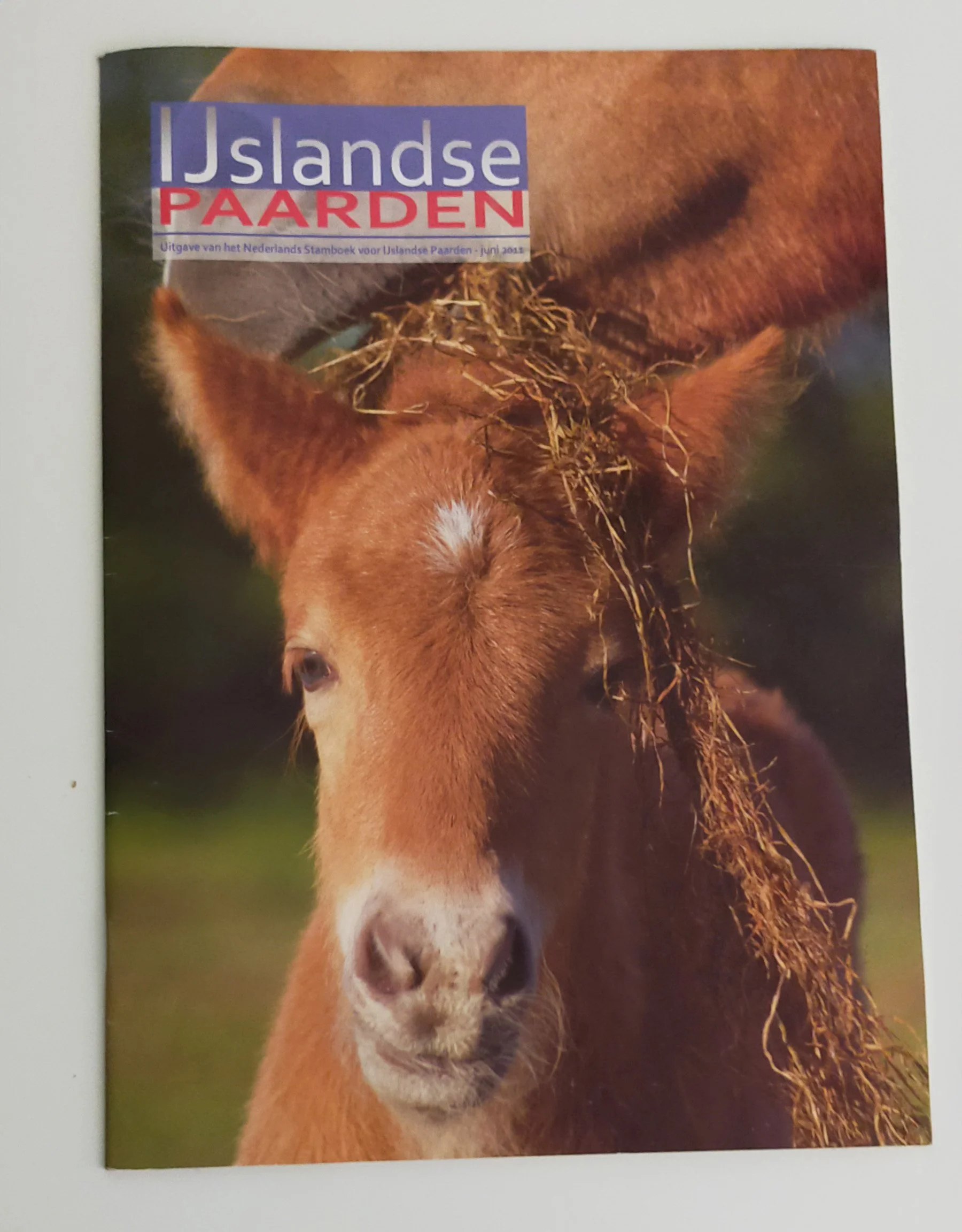 IJslandsePaardenMagazinejuni2012-veulenmerrieIngeFrieling-IrisvanVelzenFotografiee.jpg