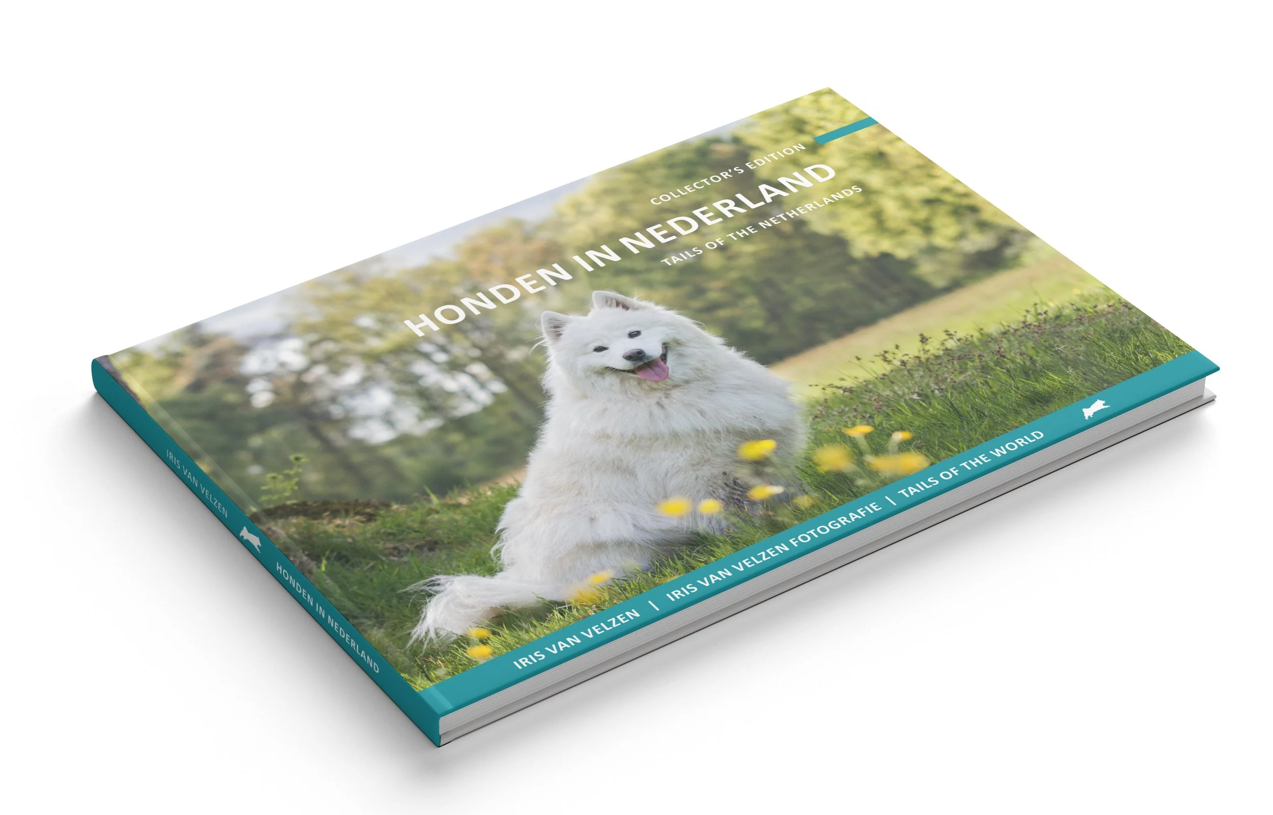 Horizontal_Book_Mockup_1.jpg