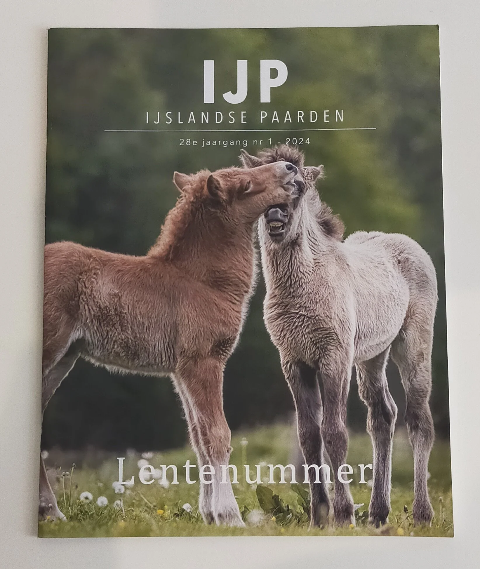 IJPMagazineIJSlandsePaarden28stejaargangnr1-2024.jpg