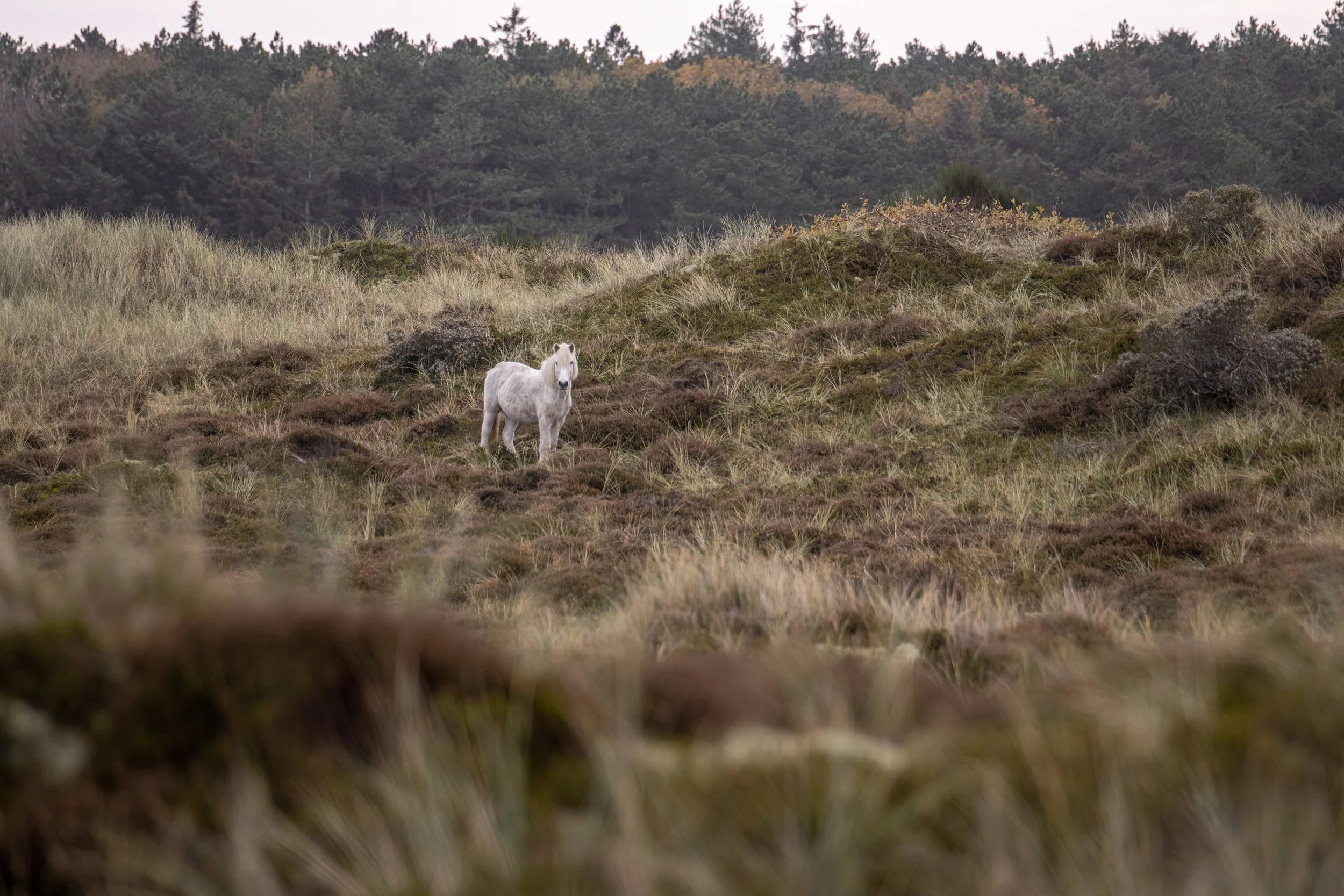 Tien jaar onderweg. Waarom ik een crowdfunding ben gestart 
