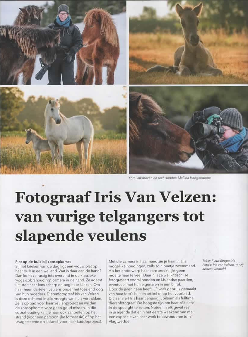 IJPMagazine-2026-Lente-InterviewDierenfotograafIris van Velzen_blz44..png