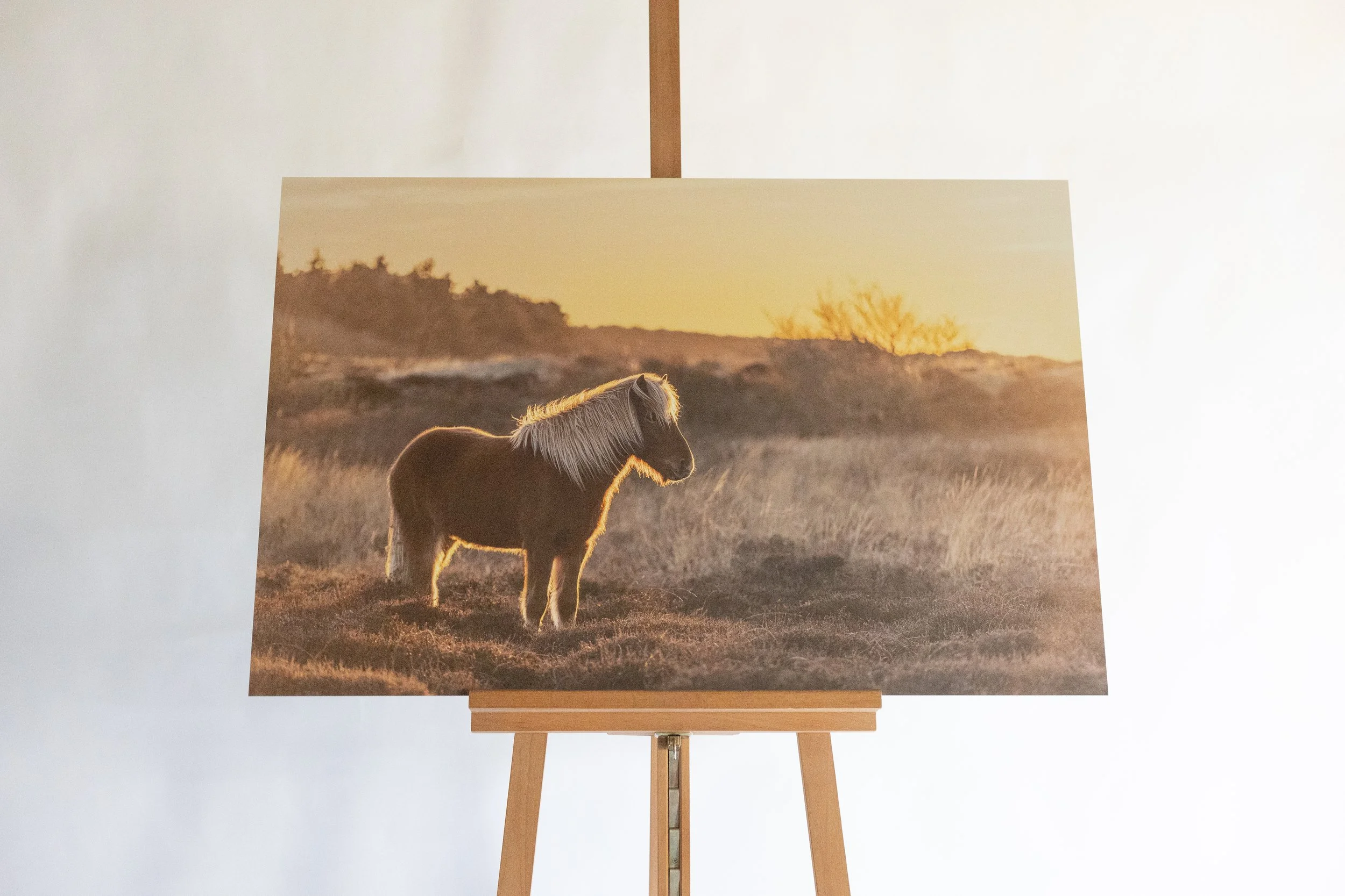 IrisVanVelzenFotografie-_MG_9229.jpg