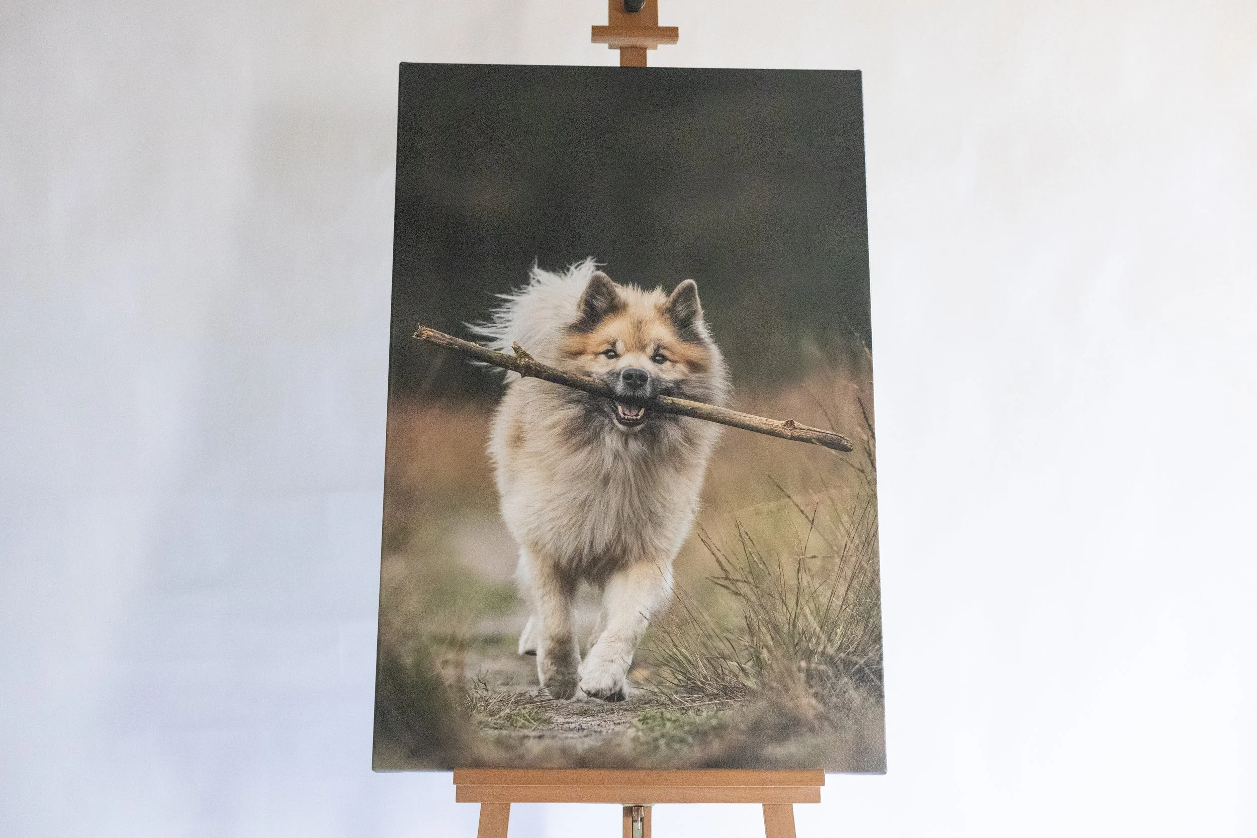 IrisVanVelzenFotografie-_MG_9252.jpg