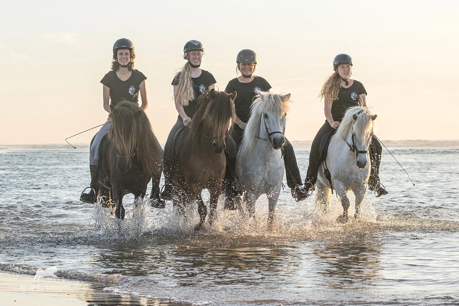 Buitenrit bij Rittenbedrijf op IJslandse Paarden in Nederland — Iris ...