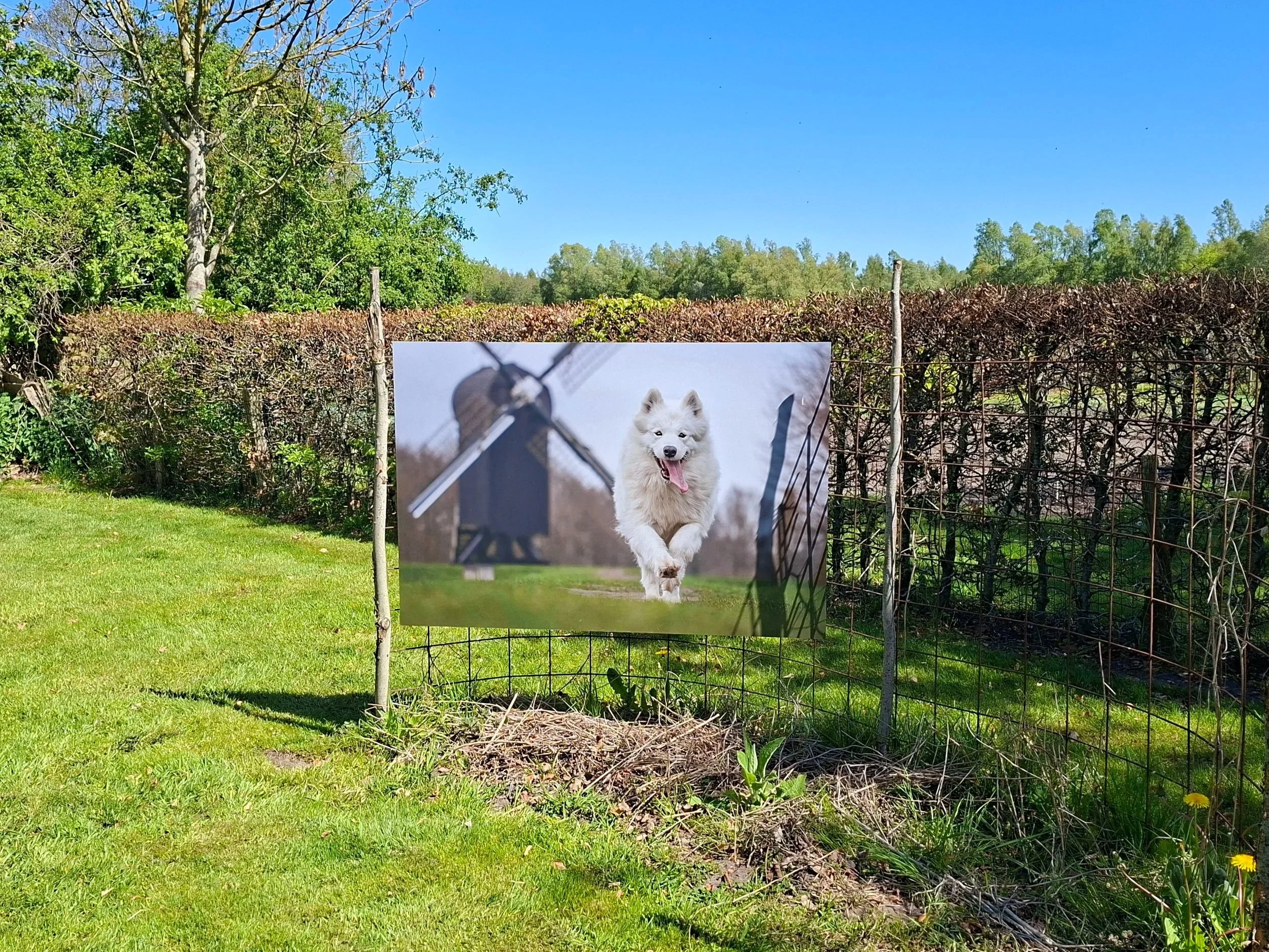 Kiska op de dijk, Bourtange 