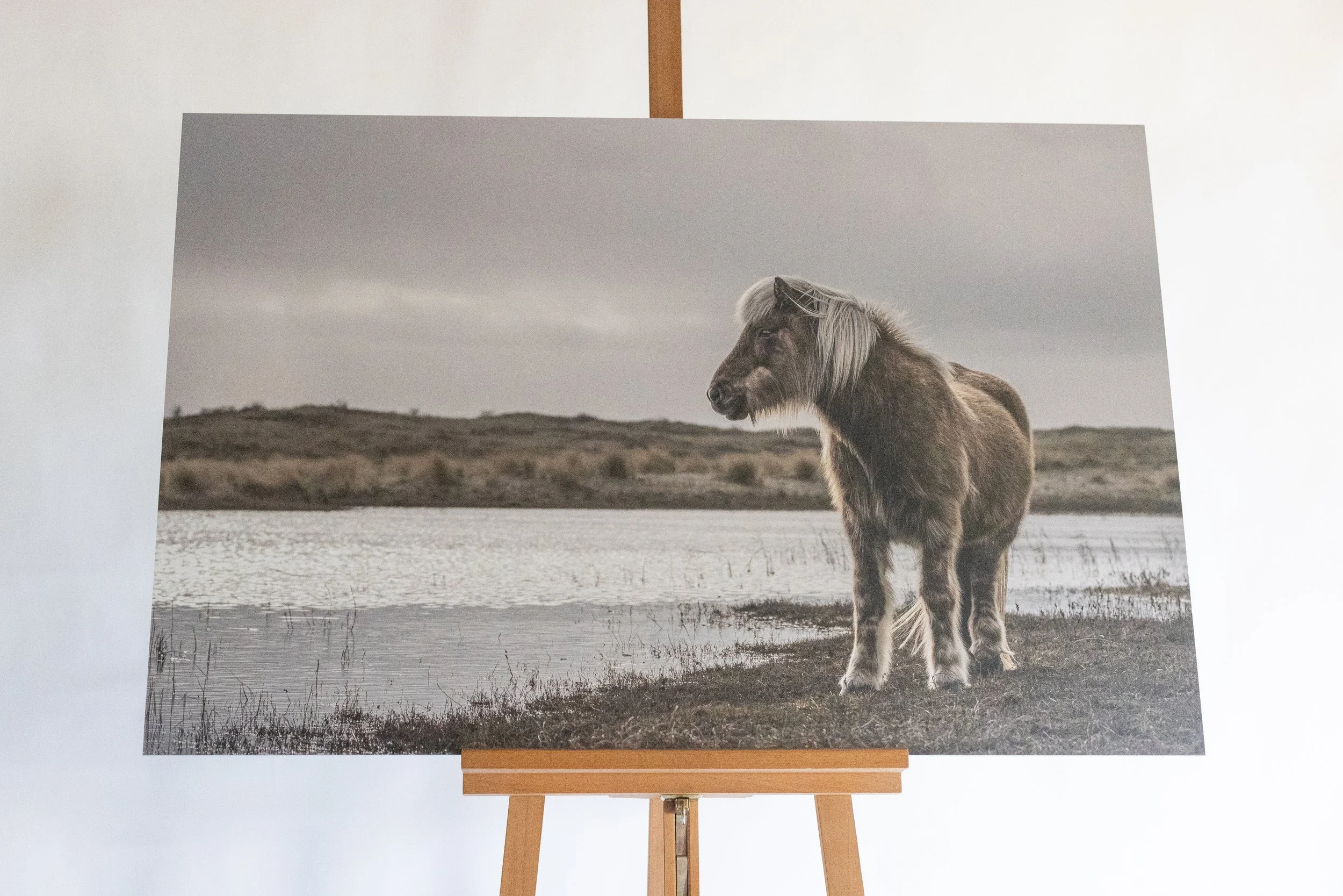 IrisVanVelzenFotografie-_MG_9236.jpg