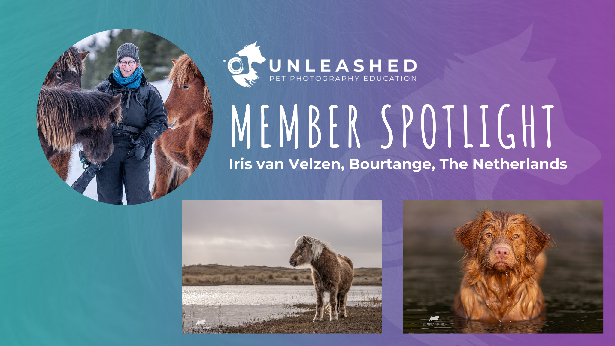 irisvanvelzentitlecard-MemberSpotlightUnleashed-april2026.png