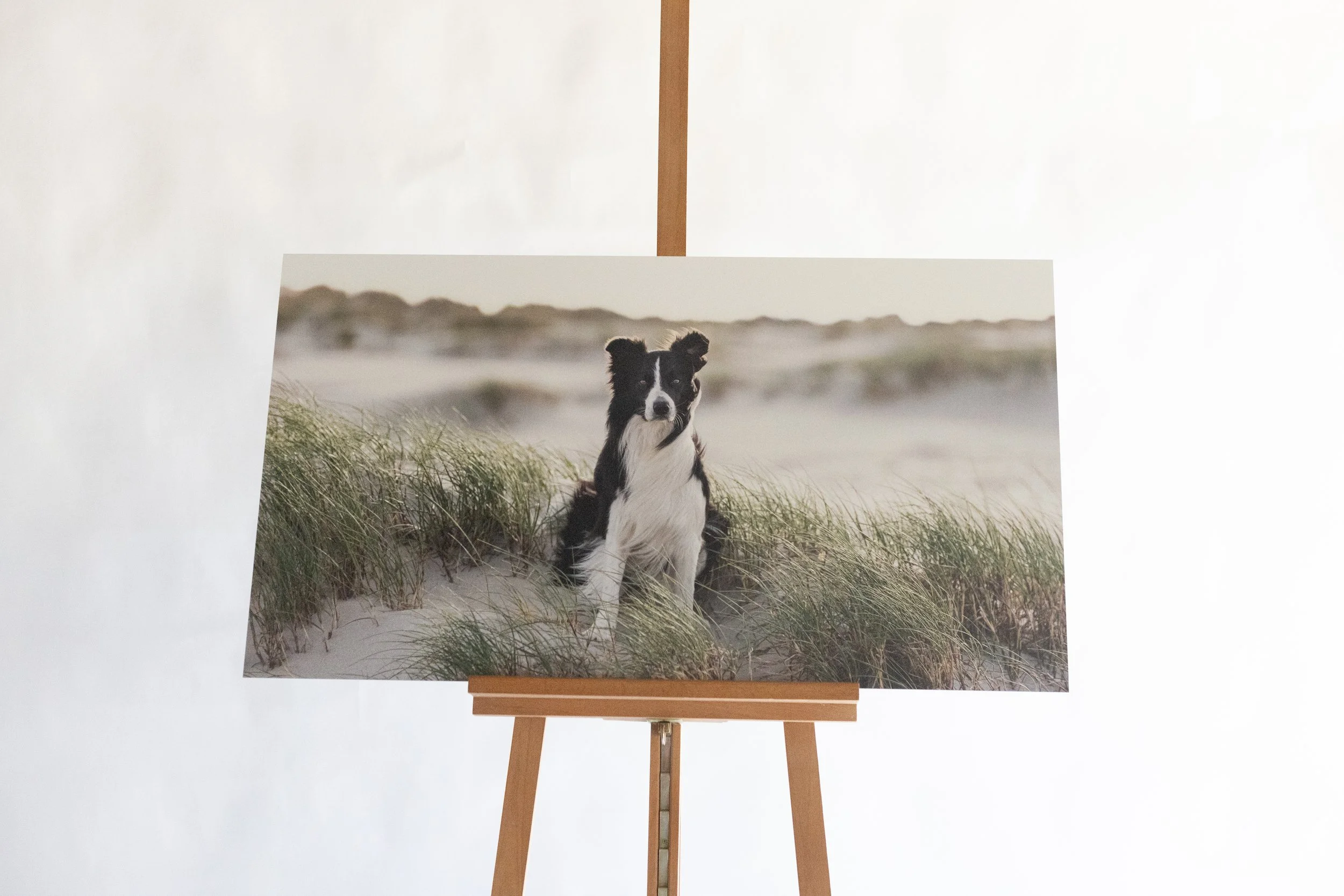 IrisVanVelzenFotografie-_MG_9194.jpg