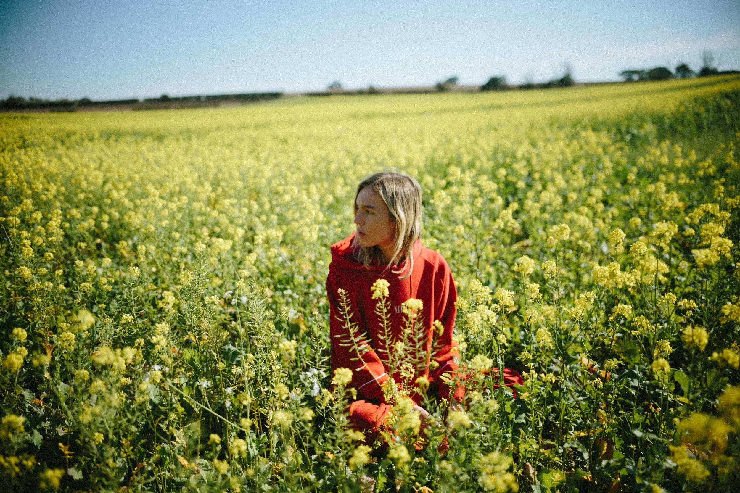 the japanese house