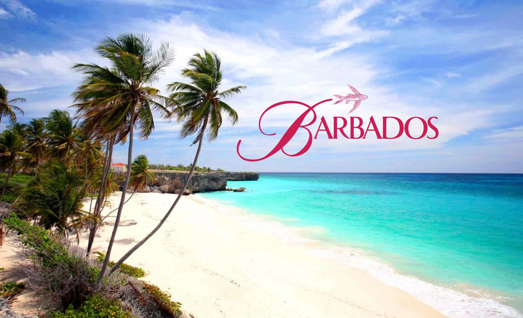 Eventica_Barbados.jpg