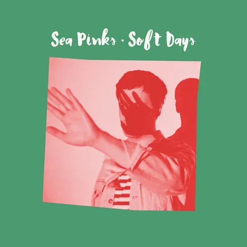Sea Pinks | Soft Days