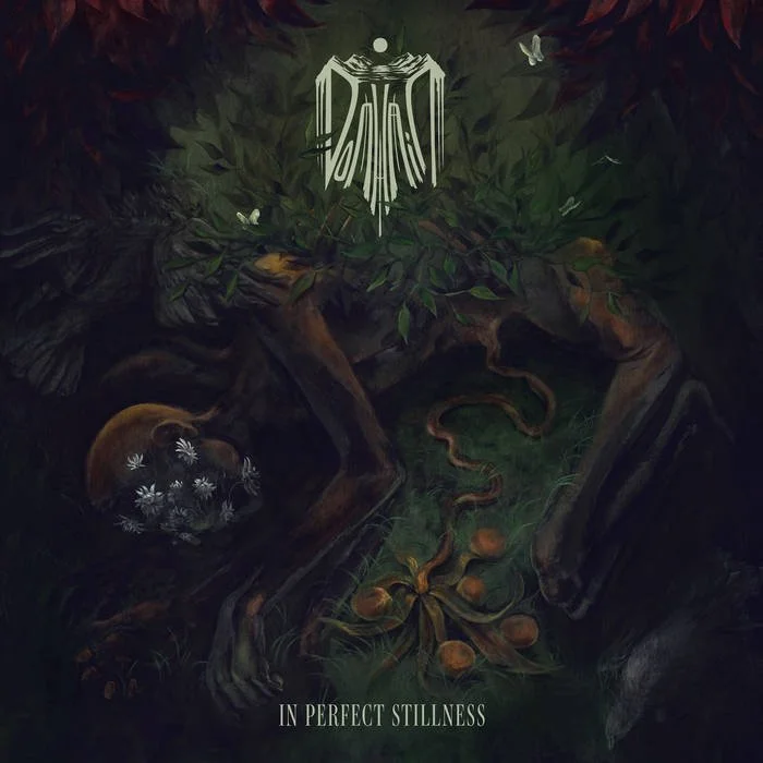 Domhain | In Perfect Stillness