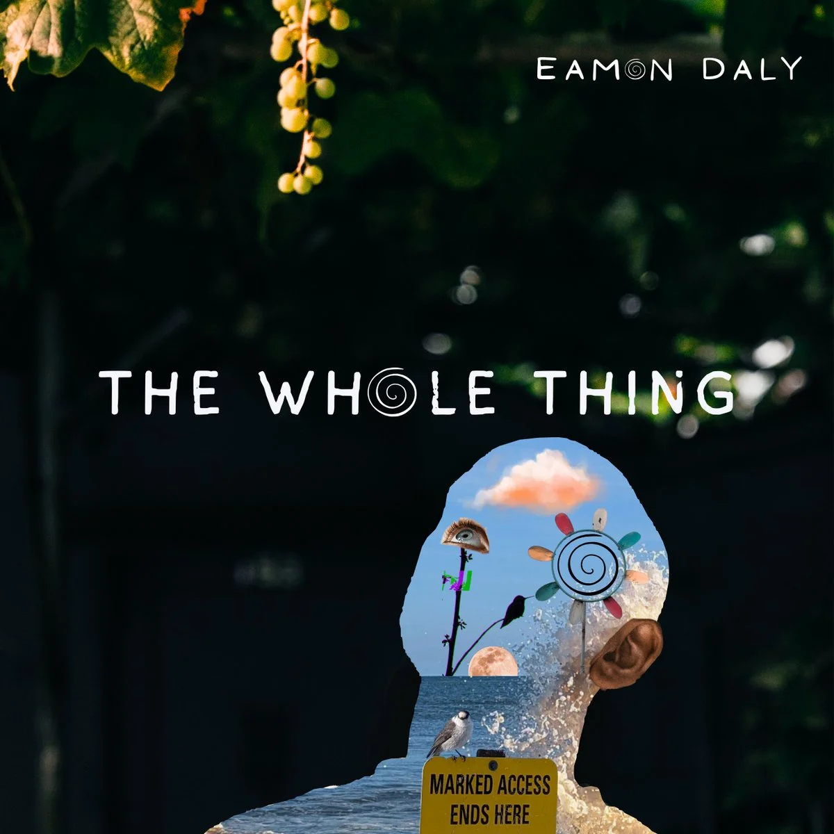 Eamon Daly | The Whole Thing 