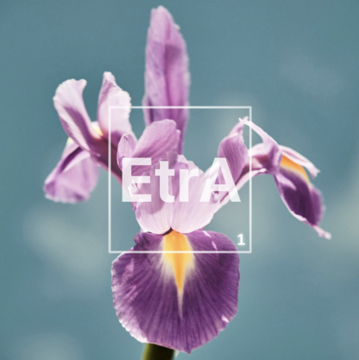 EtrA | EtrA
