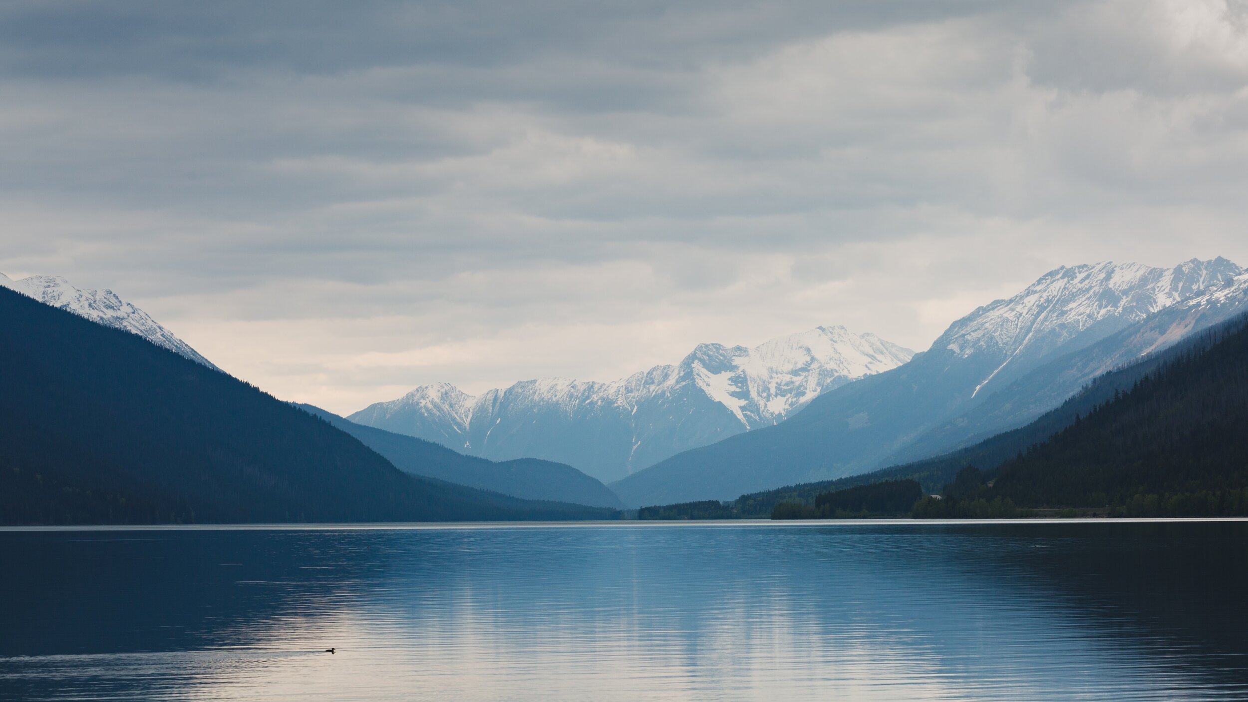 jake-hills-mI02K_LxlfU-unsplash.jpg