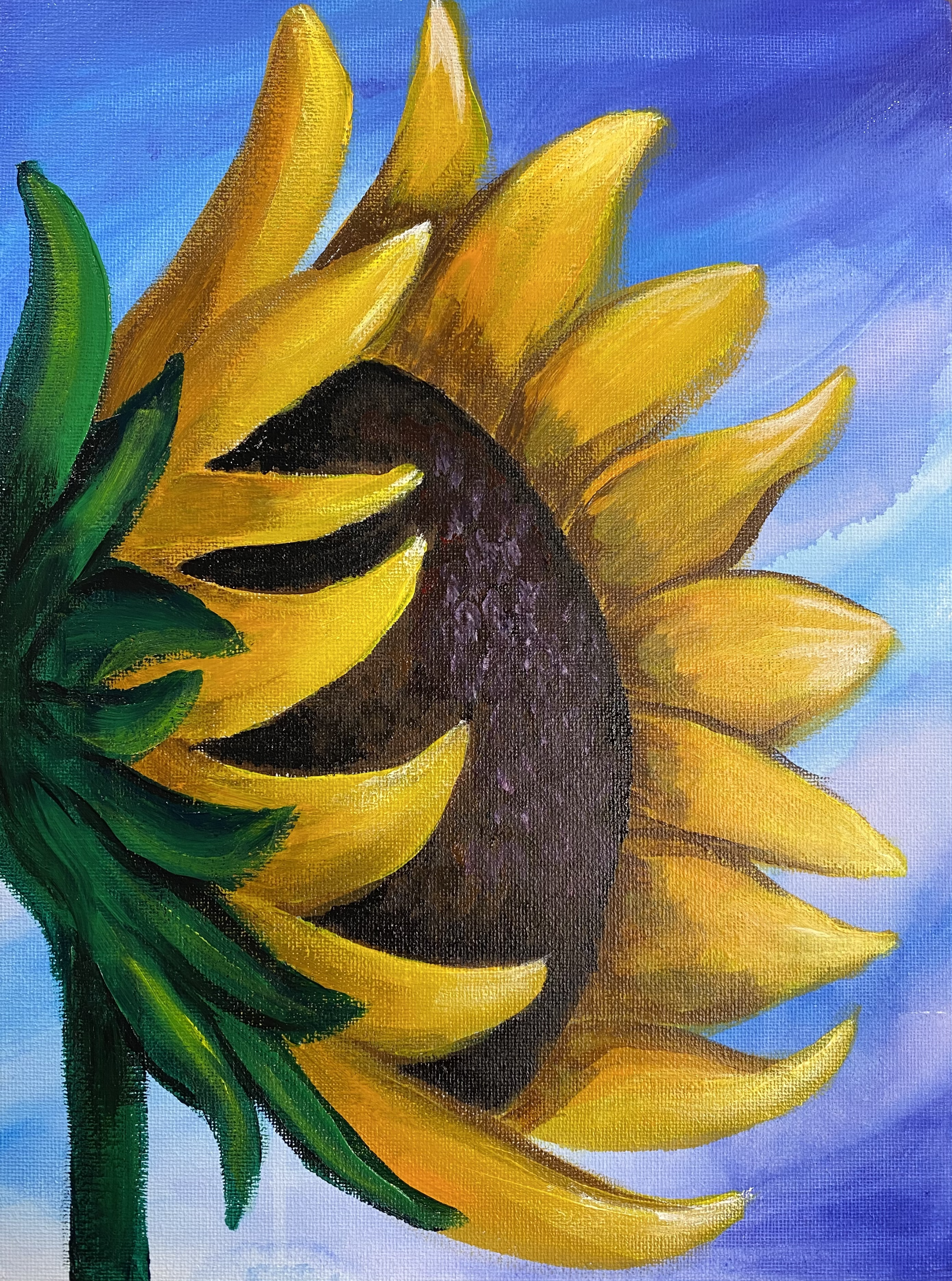 Little Sunflower