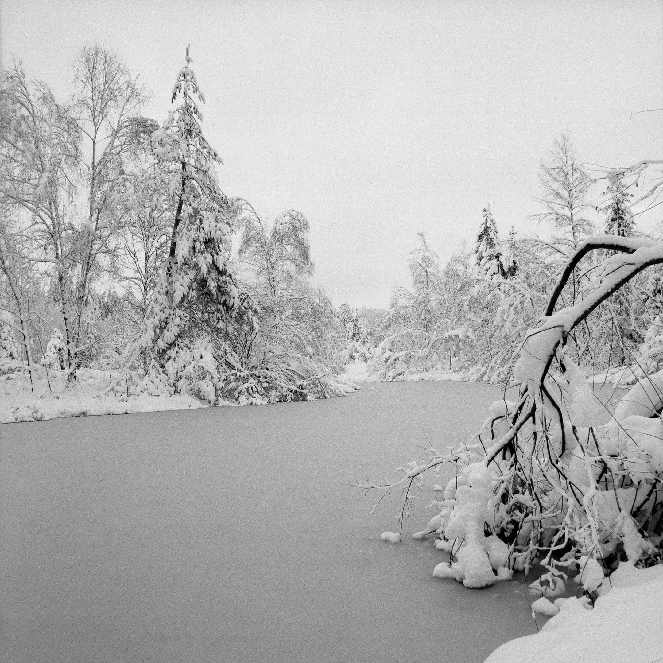 Etang des Houssots enneigés à la ILFORD FP4+