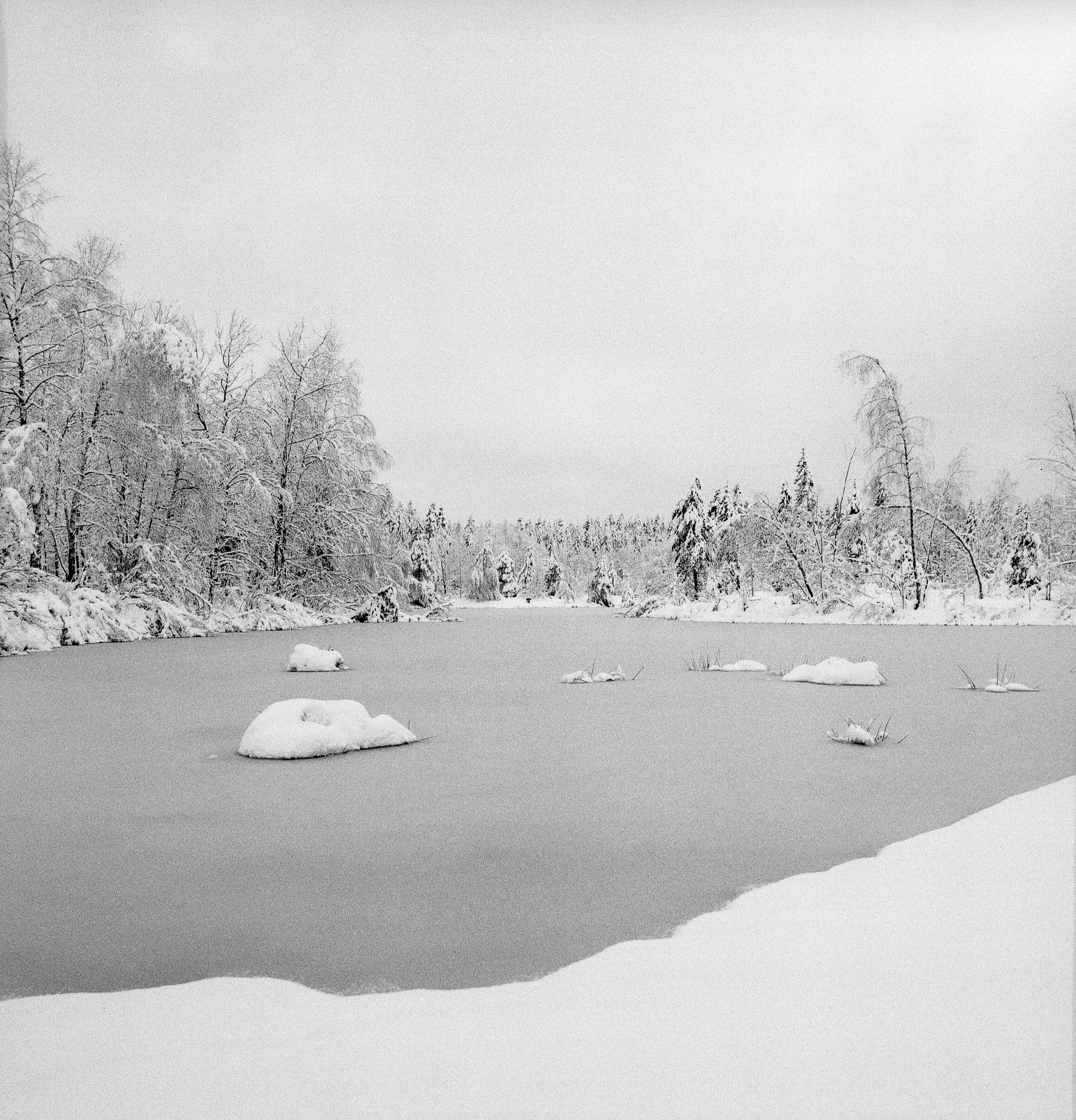 Ilford FP4 @ 125
