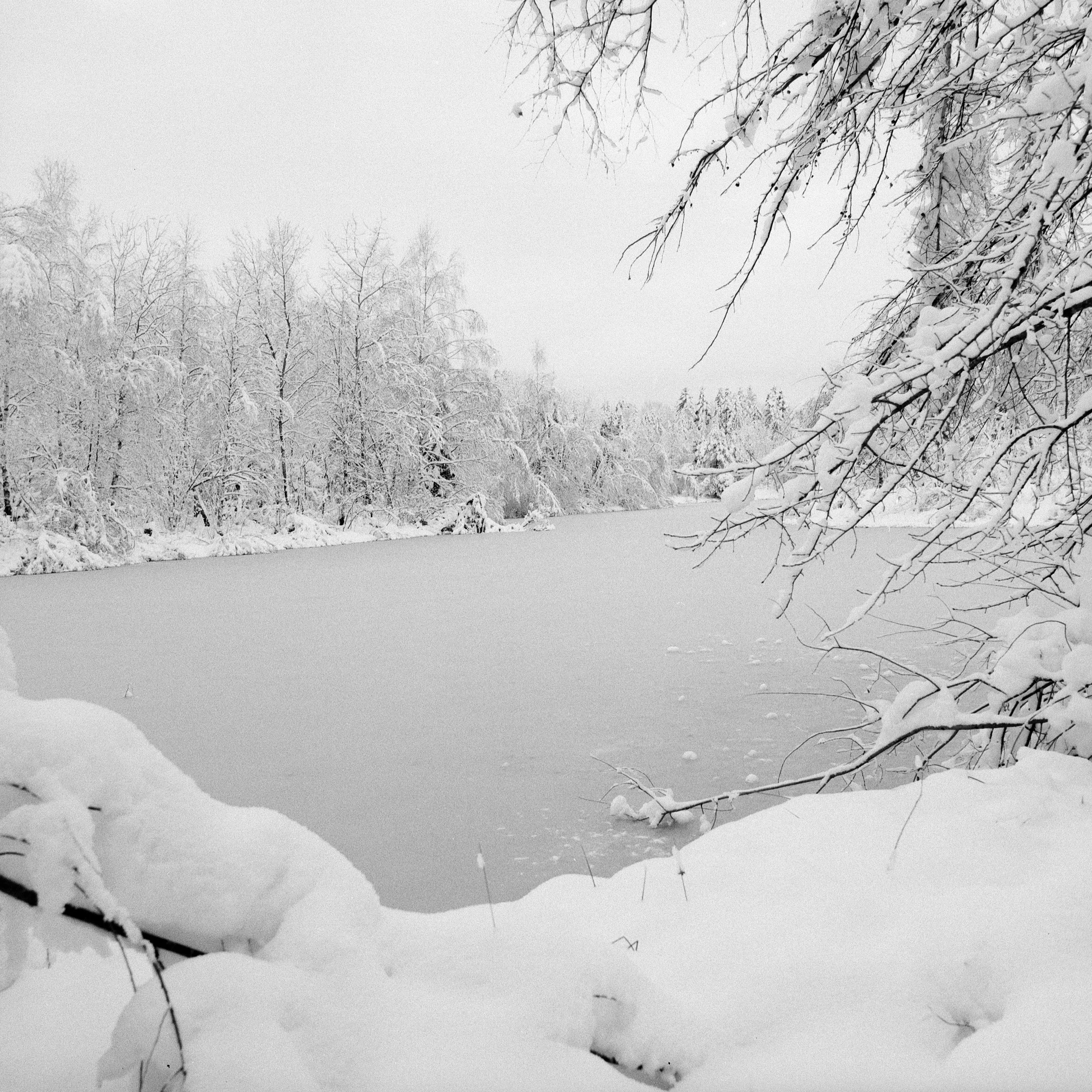 Ilford FP4 @ 125