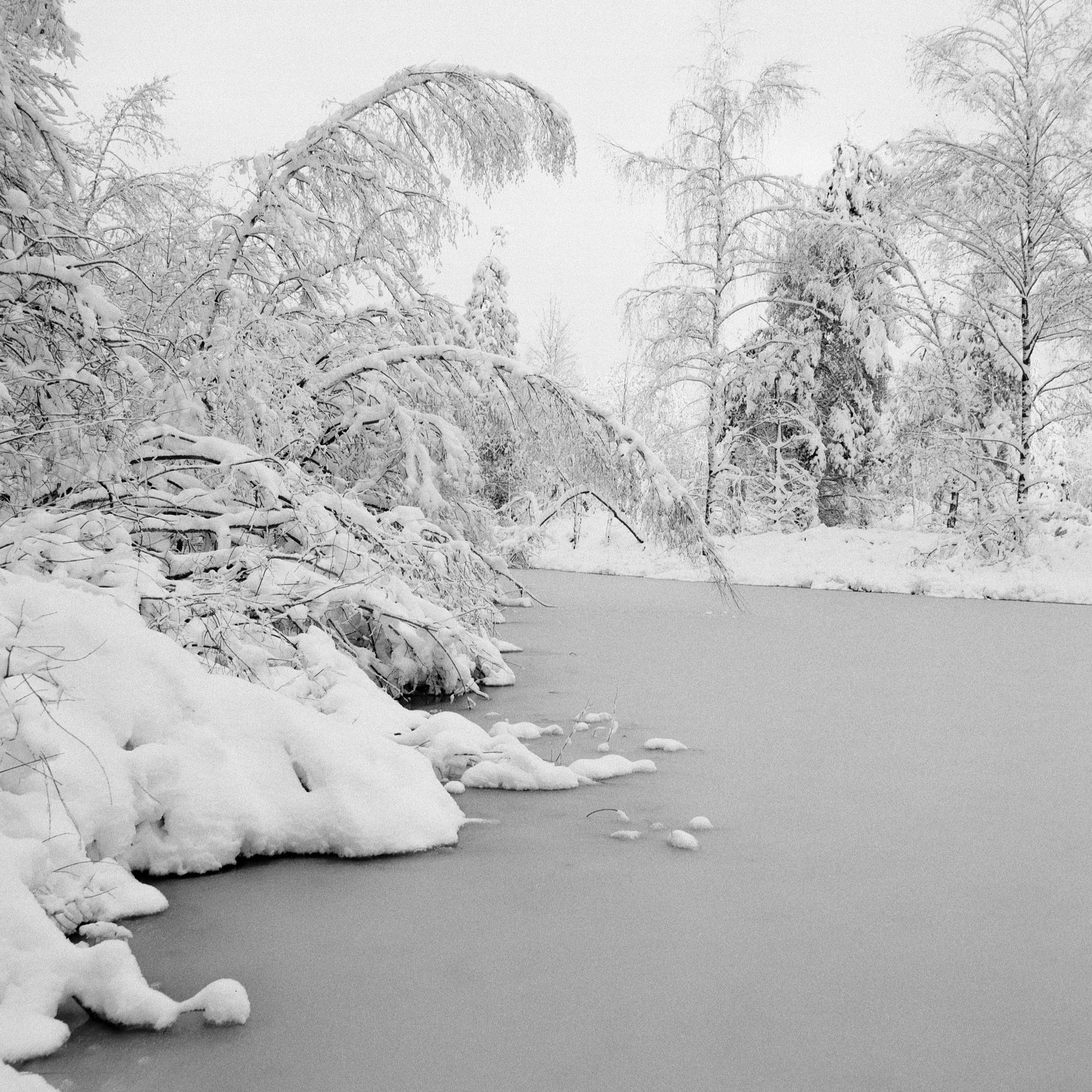 Ilford FP4 @ 125