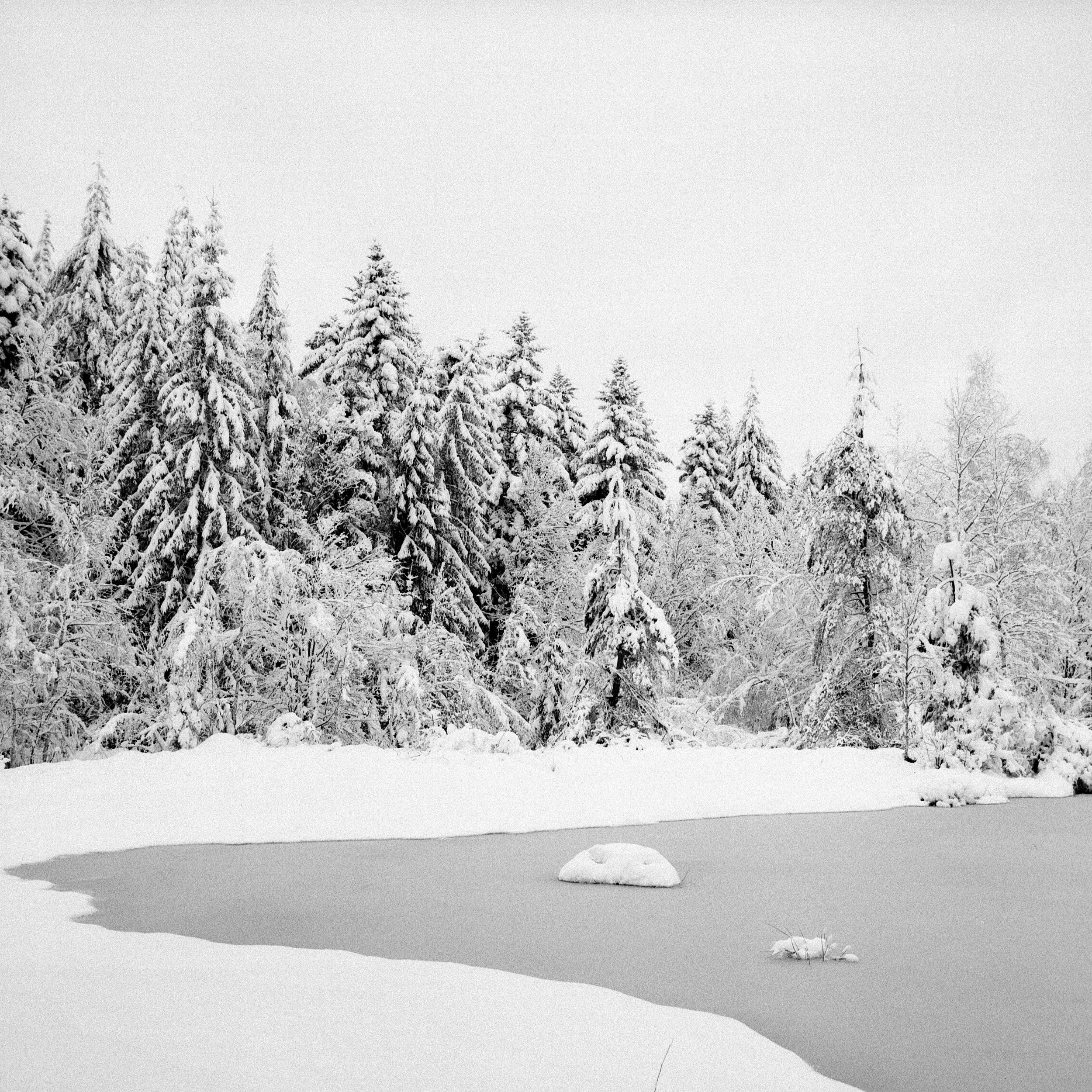 Ilford FP4 @ 125