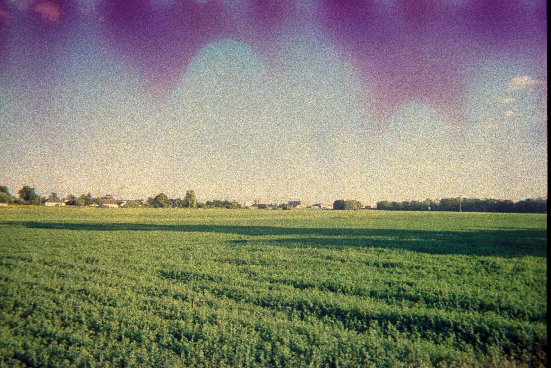 kodak-jetable-800_02.jpg