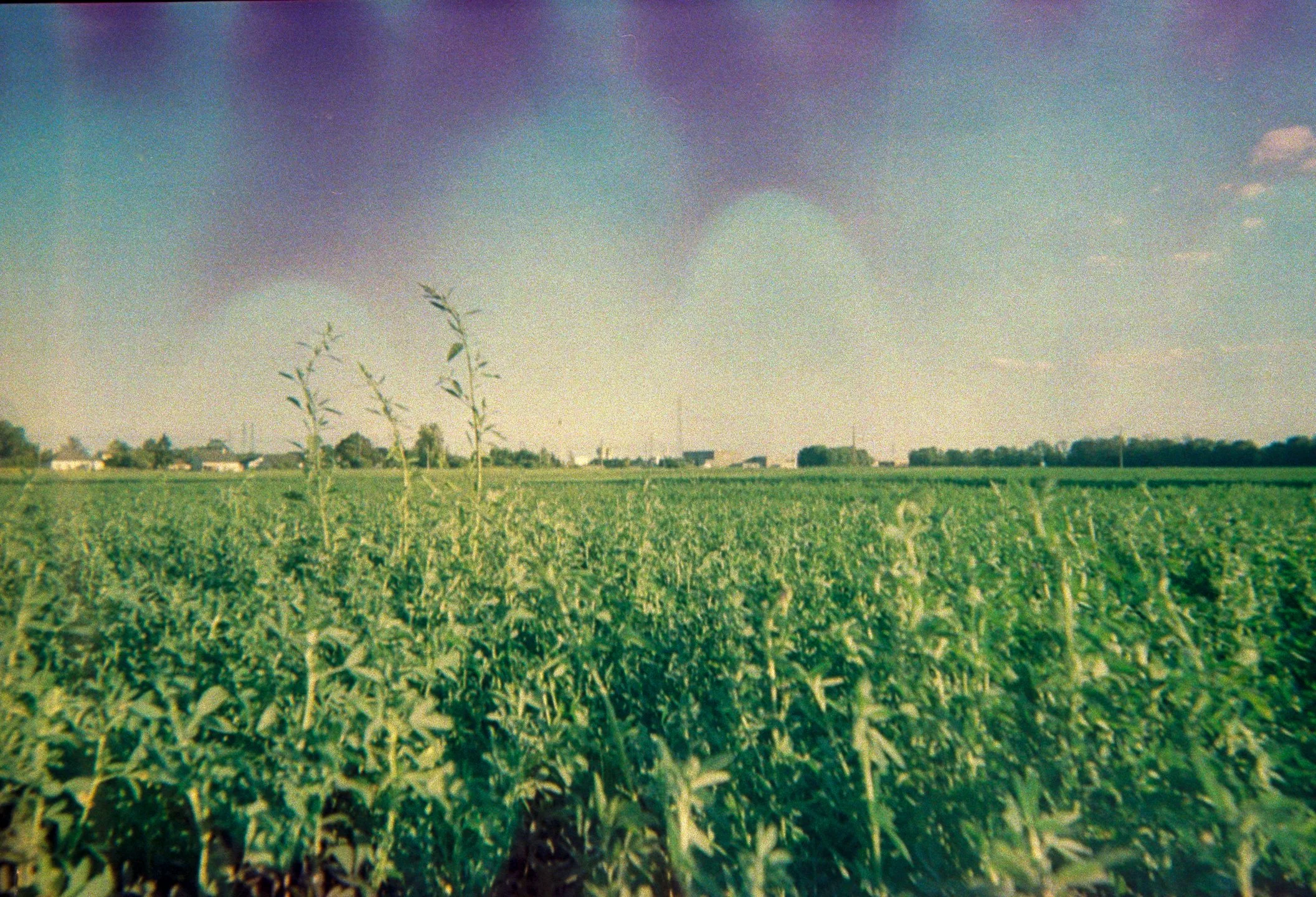 kodak-jetable-800_07.jpg