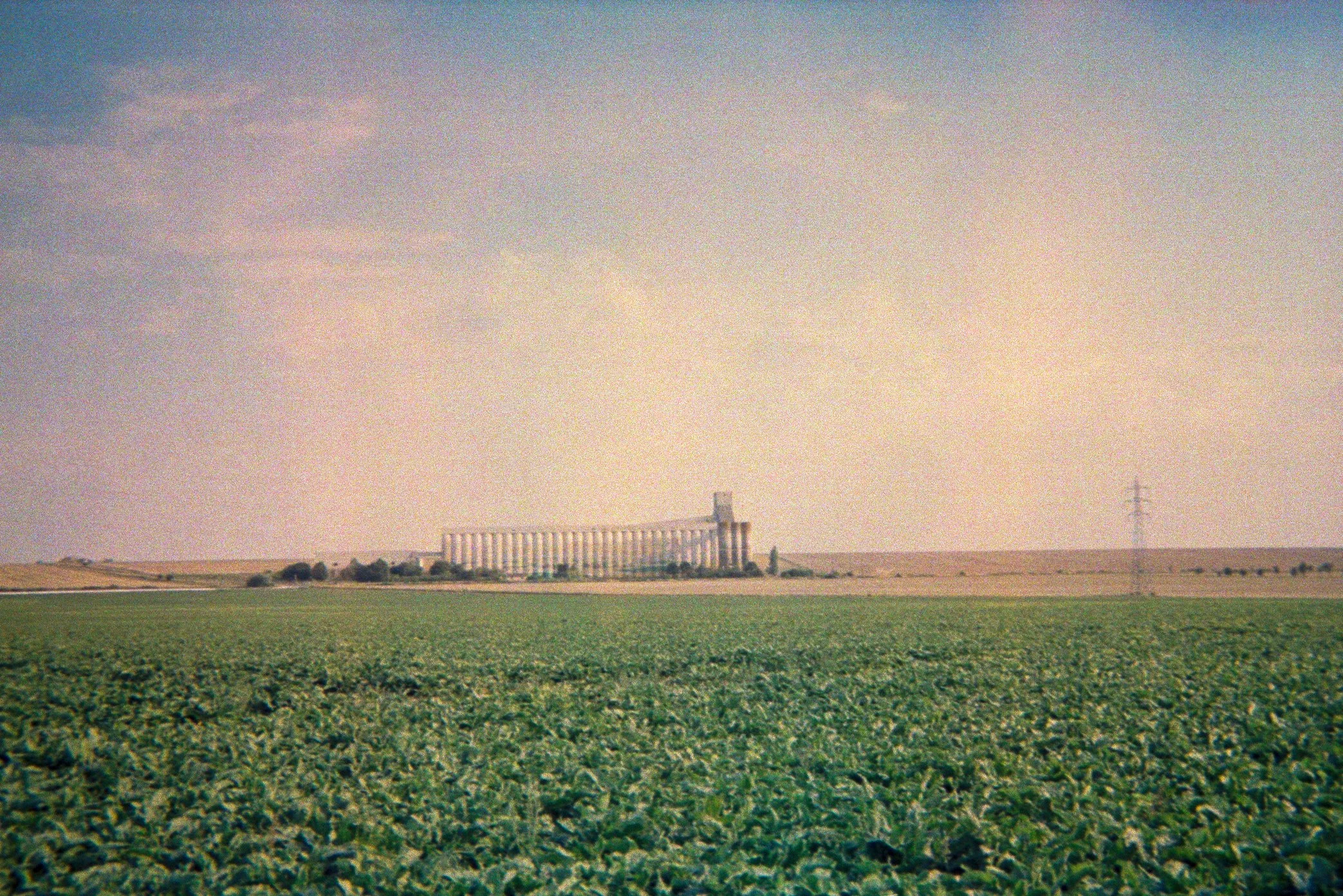 kodak-jetable-800_27.jpg
