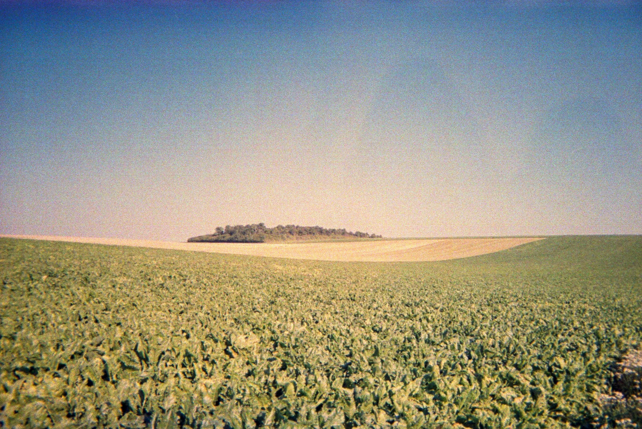 kodak-jetable-800_32.jpg