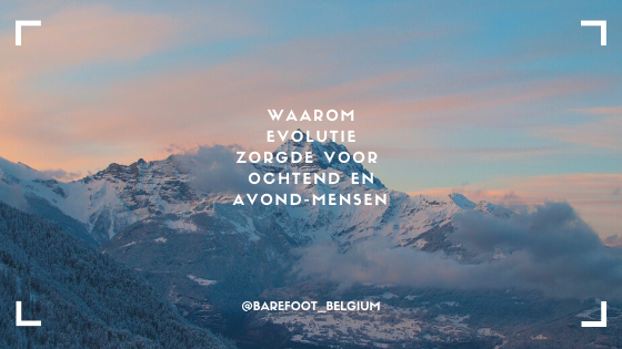Waarom evolutie zorgde voor ochtend en avond-mensen 