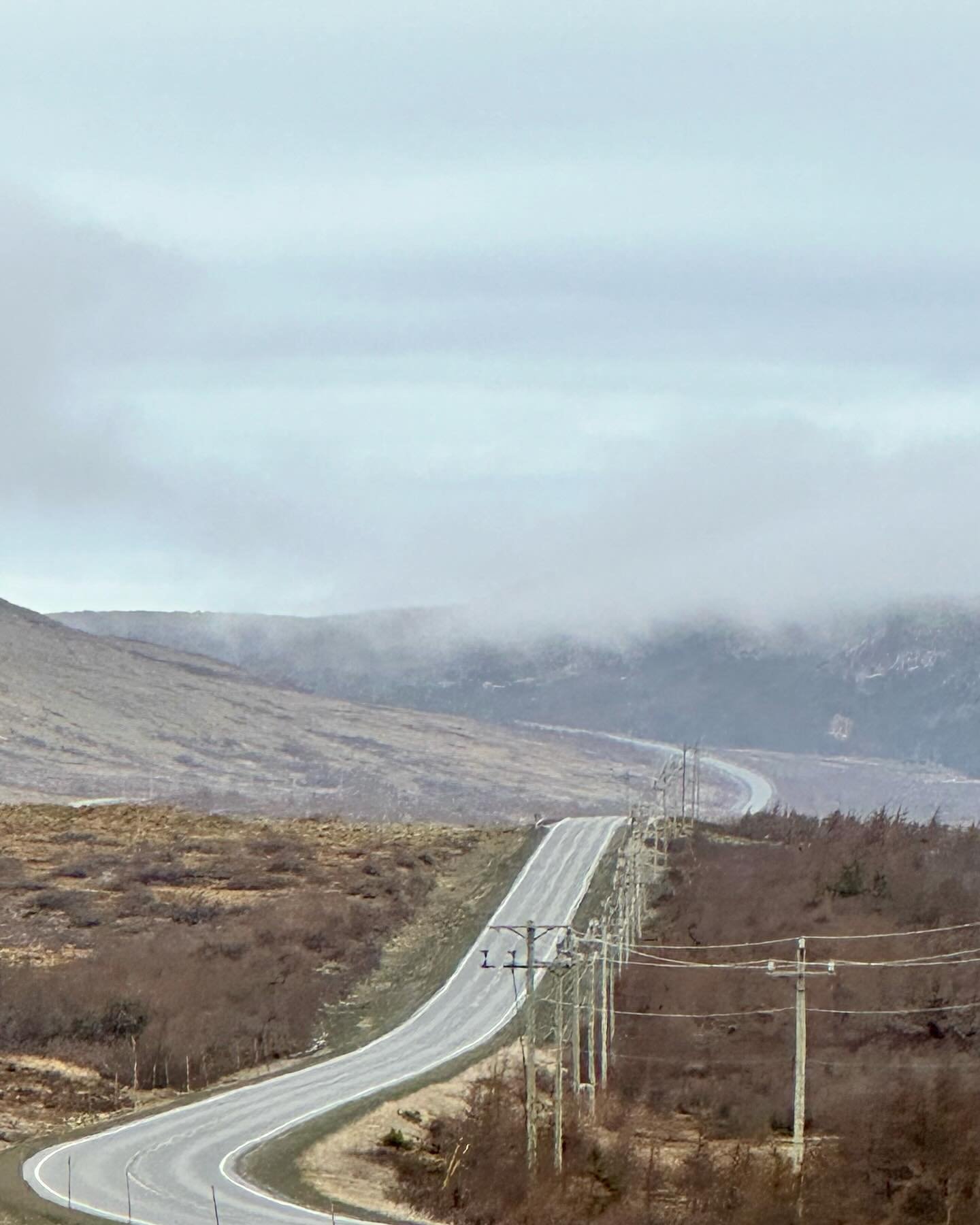 #newfoundland #newfoundlandandlabrador #newfoundlandwestcoast #westcoastnewfoundland #westcoastnewf #canada #newfoundlandcanada #beautifulnewfoundland #grosmorne #grosmornenationalpark #grosmornemountain #viewsofnewfoundland #tablelandsnewfoundland