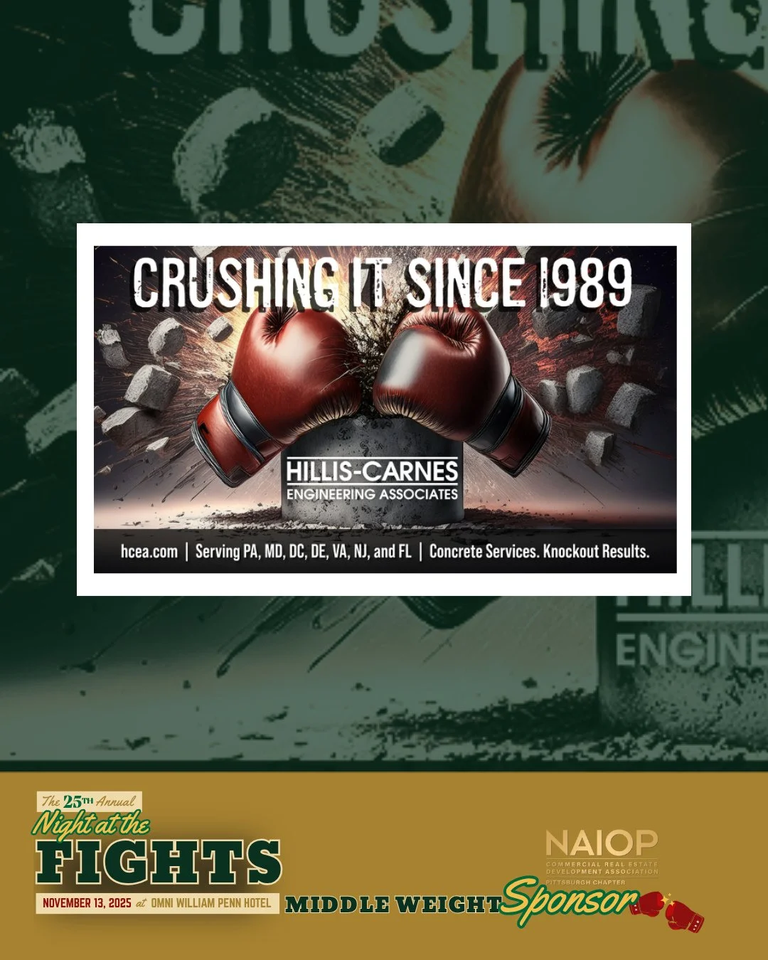 Thank you Hillis-Carnes for your support of NAIOP Pittsburgh as a Middleweight Sponsor of this year's Night At The Fights. Learn more at the link in our bio,⁠
⁠
#CREpgh⁠