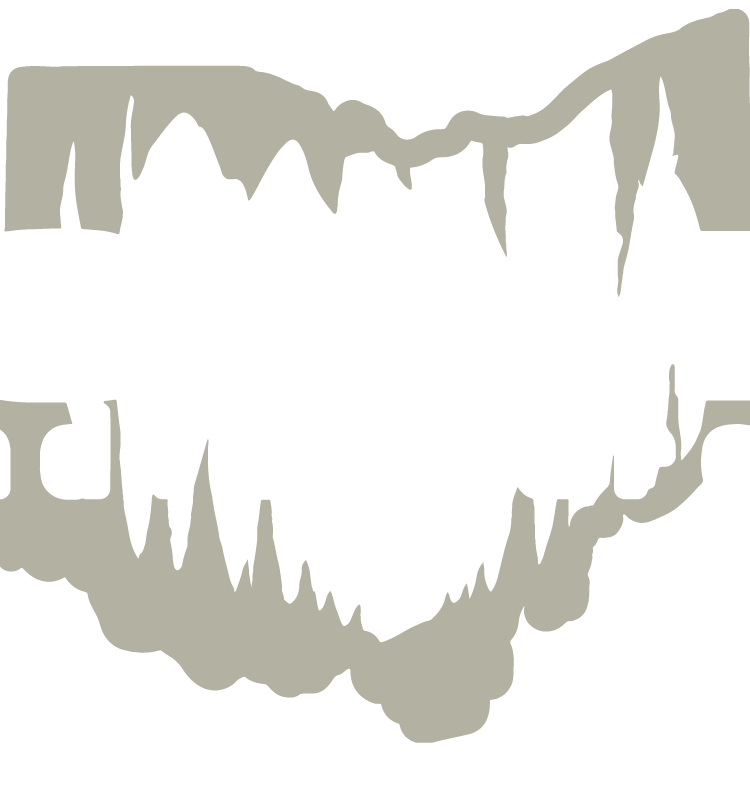CA_Ohio Shape_Full-01.png