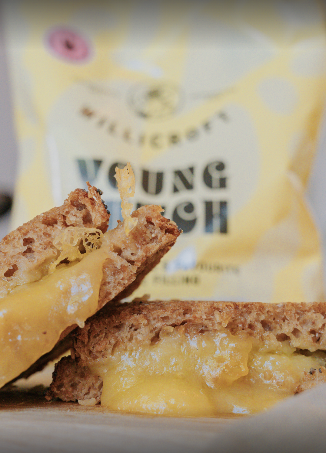 Willicroft Young Dutch Toastie