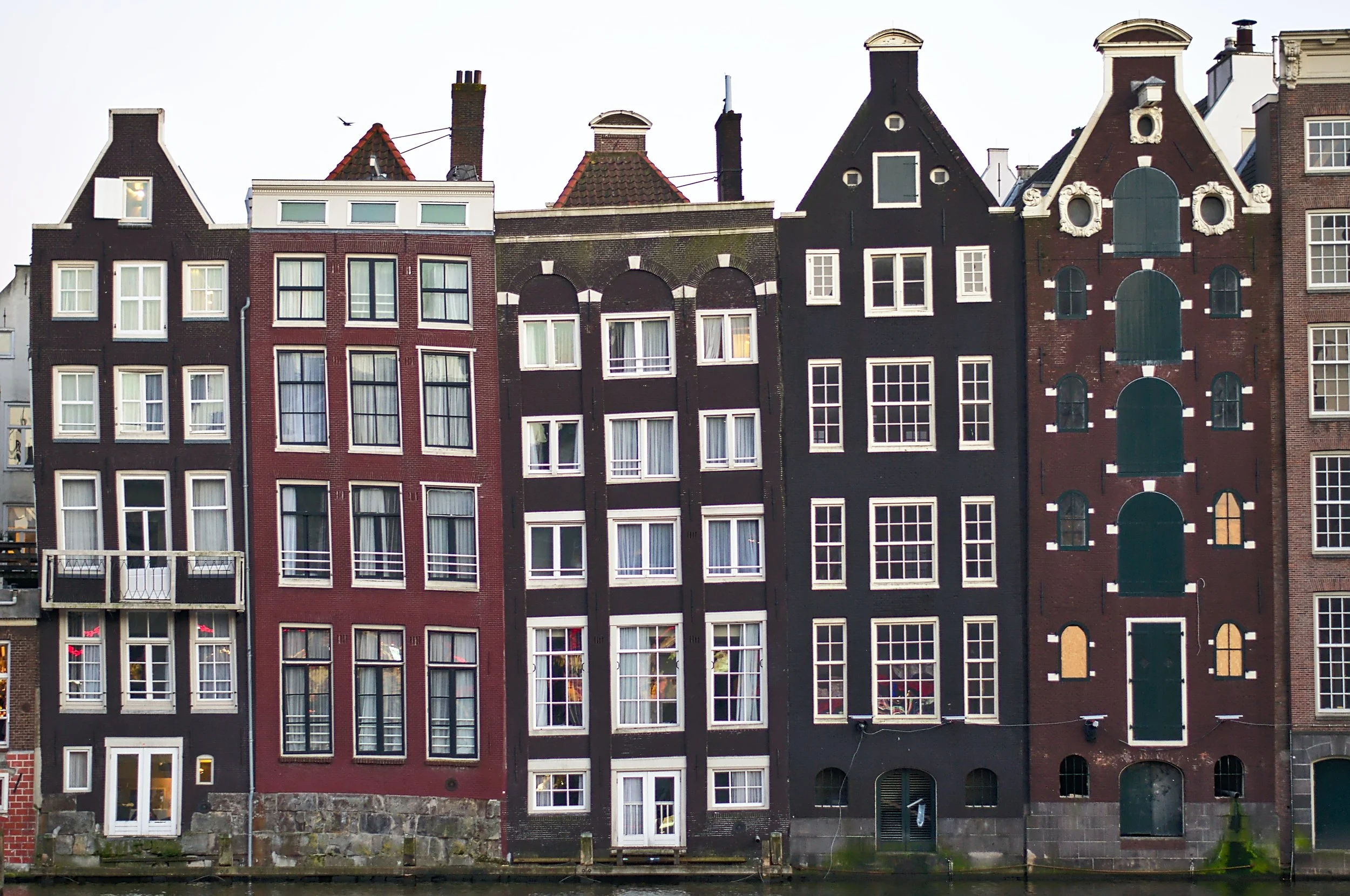 First Dutch ban on meat ads