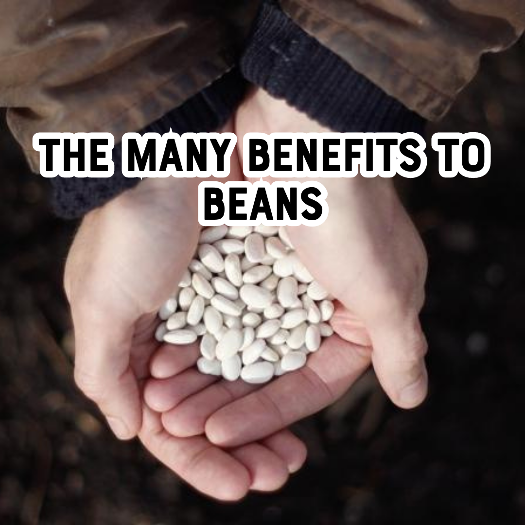 The many benefits to beans