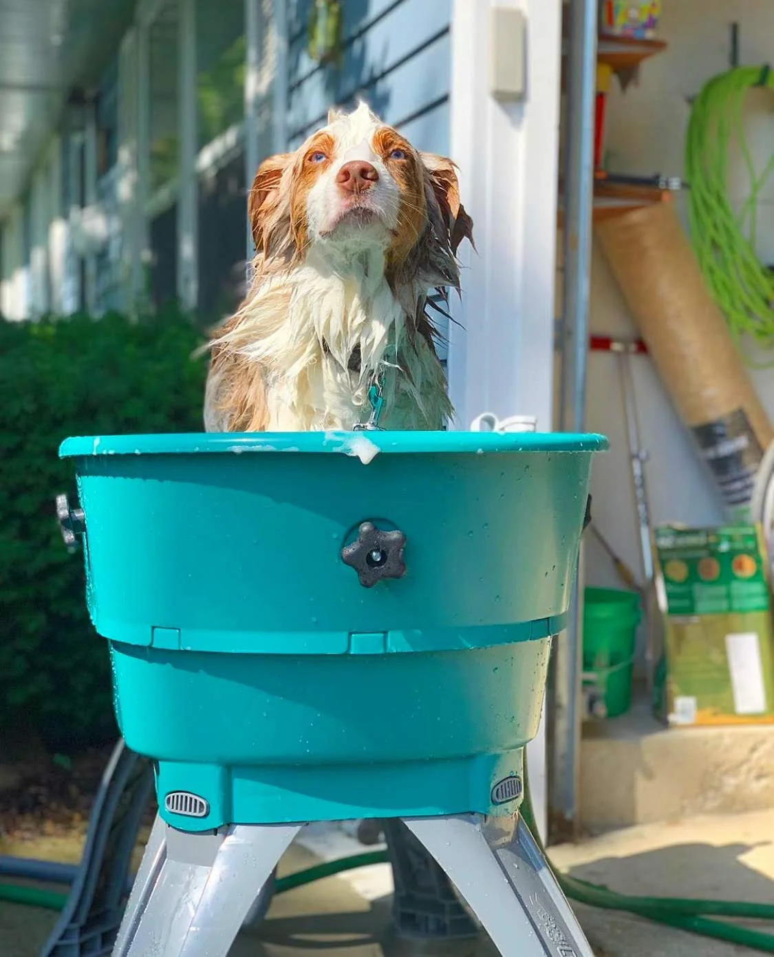 Booster Bath Dog Bath Tub Home