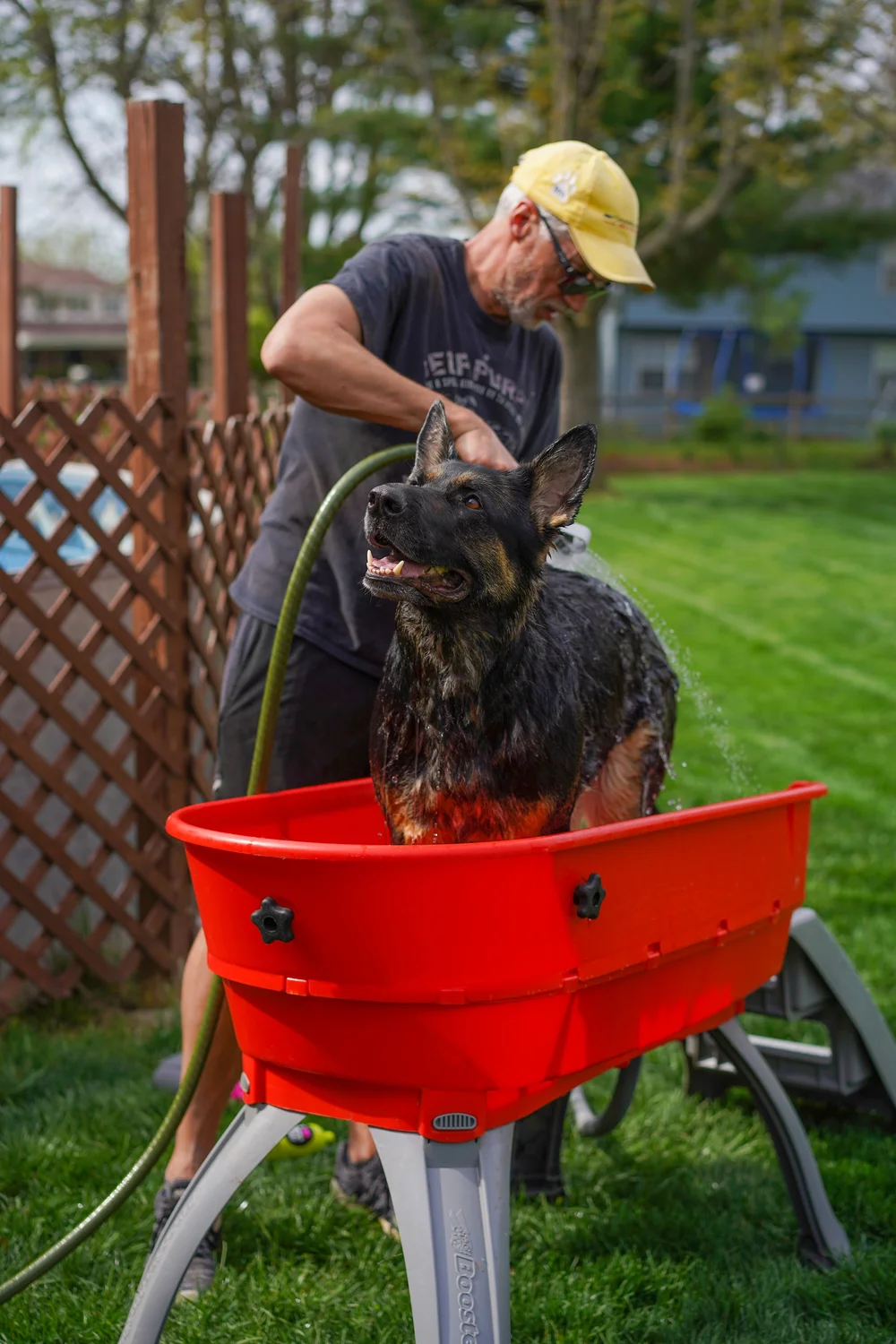 Booster Bath Dog Bath Tub - Home