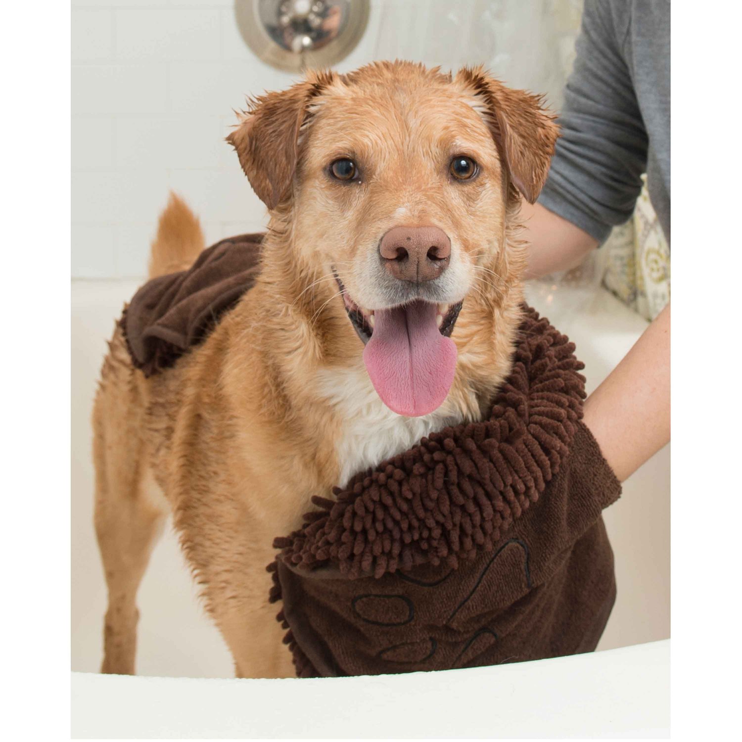 Dirty Dog Shammy Towel – 2dogs 3cats