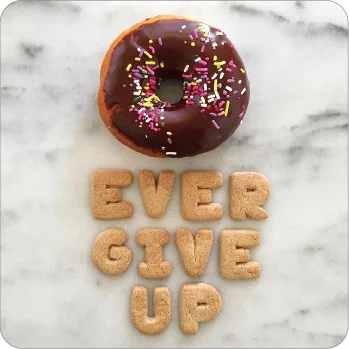 Donut Ever Give Up