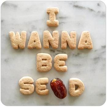 I Wanna Be Sedated
