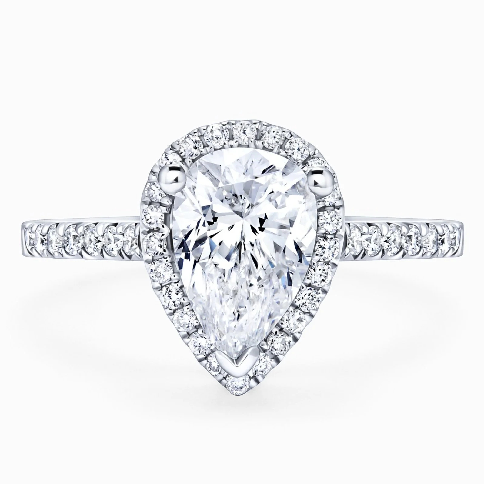 ZP132-PEAR-HALO-TERA.jpg