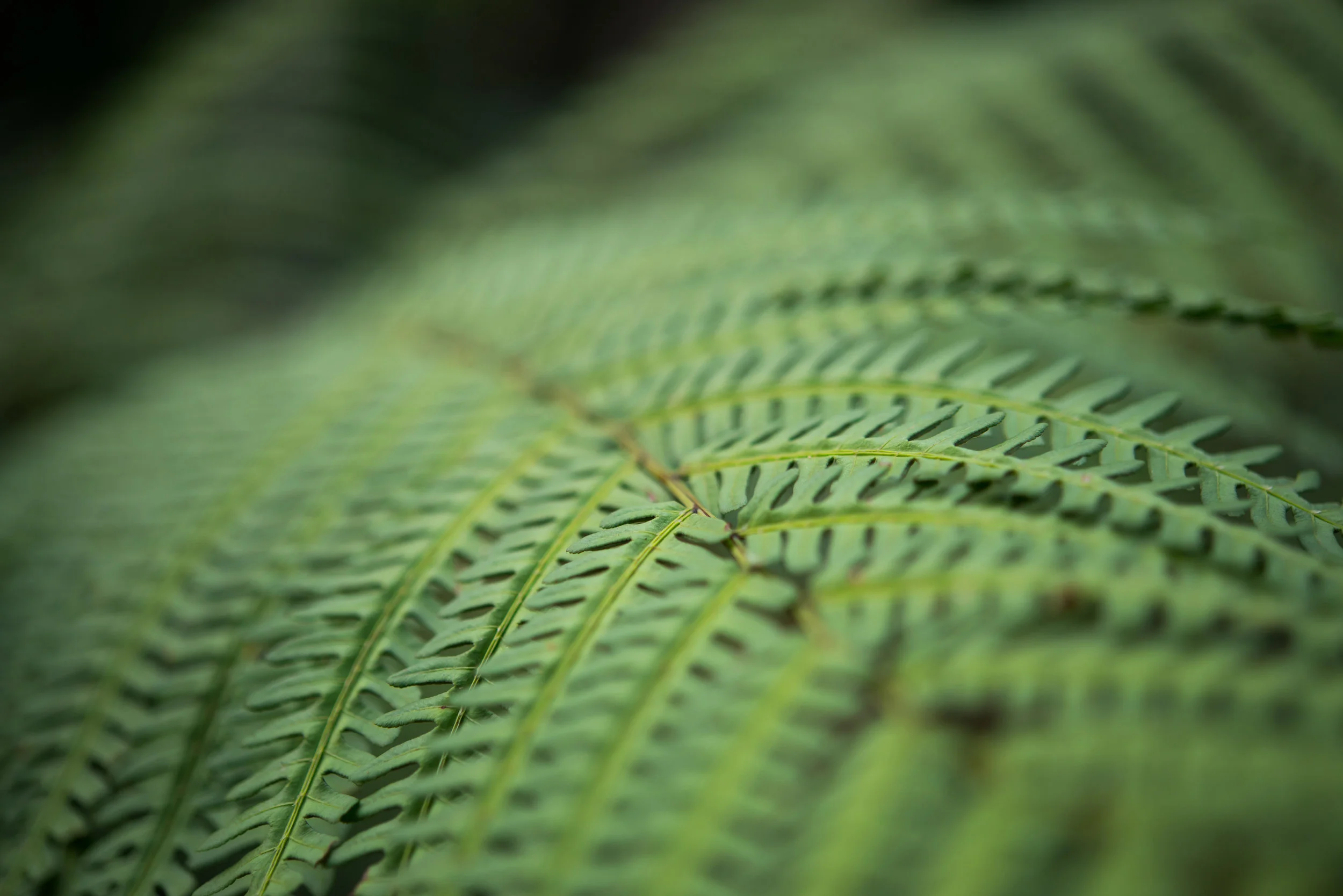 AdobeStock_150449520.jpeg