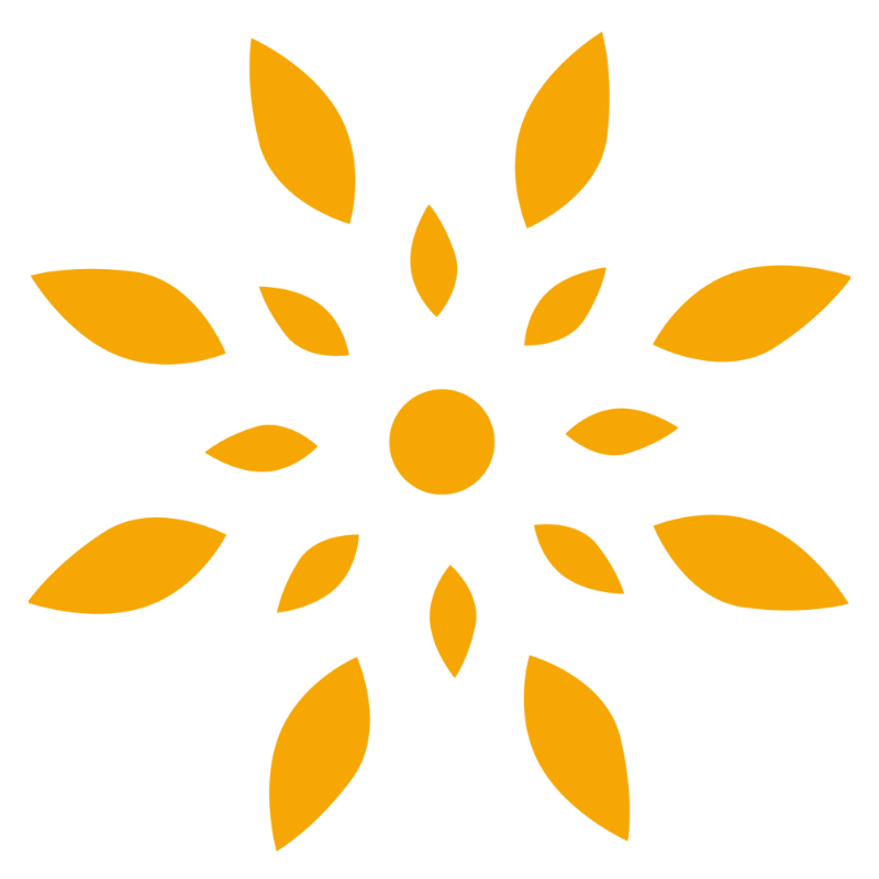 Solution (Copy) — CHADS Coalition