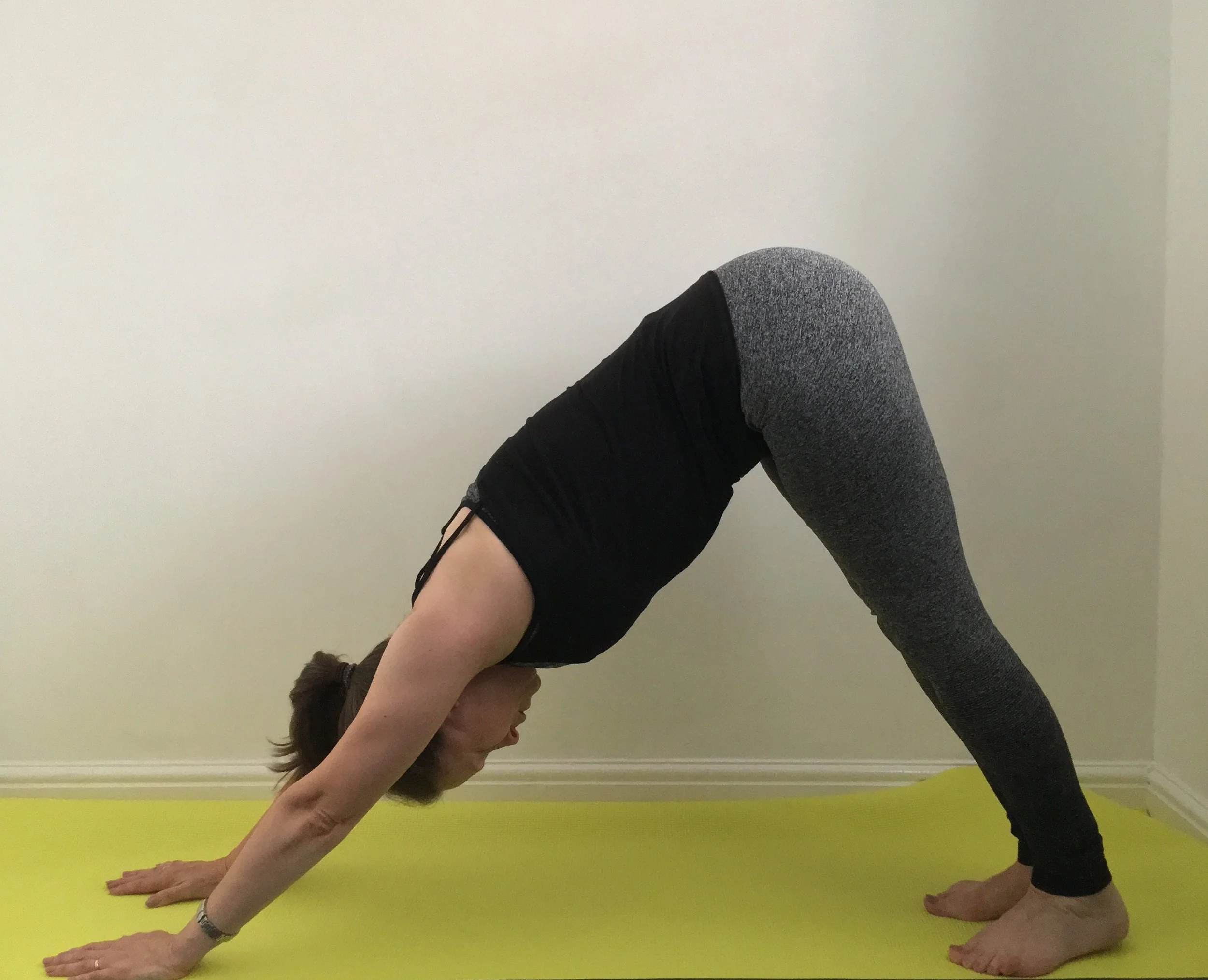 Down Dog Pose.jpg