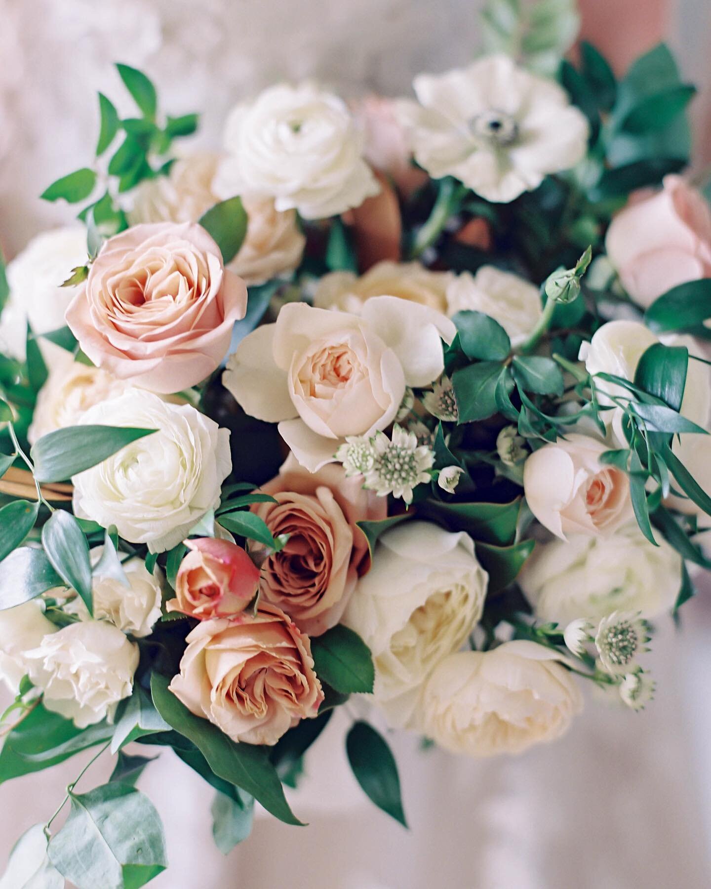 Ivory, honey, and hints of mauve will always be one of my absolute favorite color palettes 🍯💕 

Photographer: @kimstockwellphoto 
Planning/Design: @lemersondesign 
Venue: @pippinhillfarm